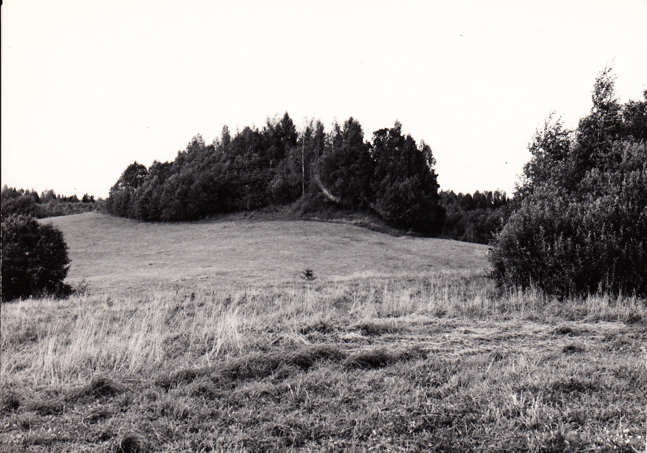 Ohvrikoht Tammemägi