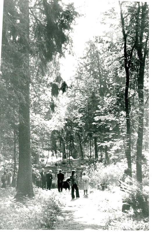 Sangaste mõisa dendropark