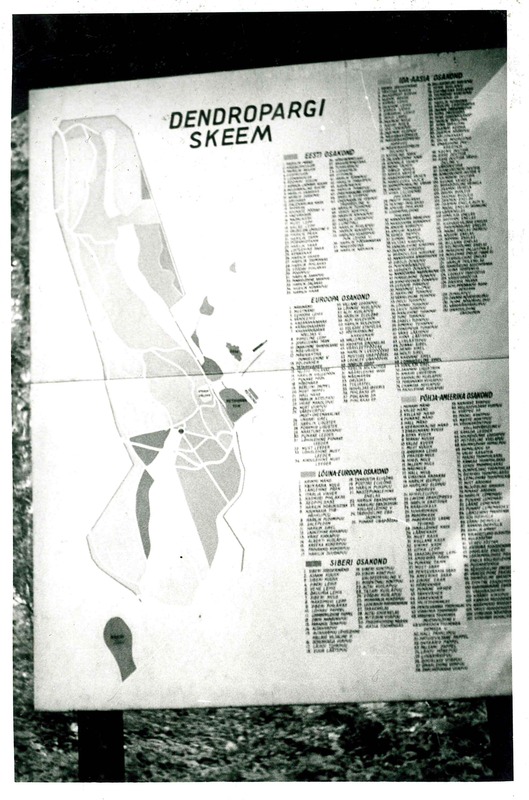 Sangaste mõisa dendropargi kaart