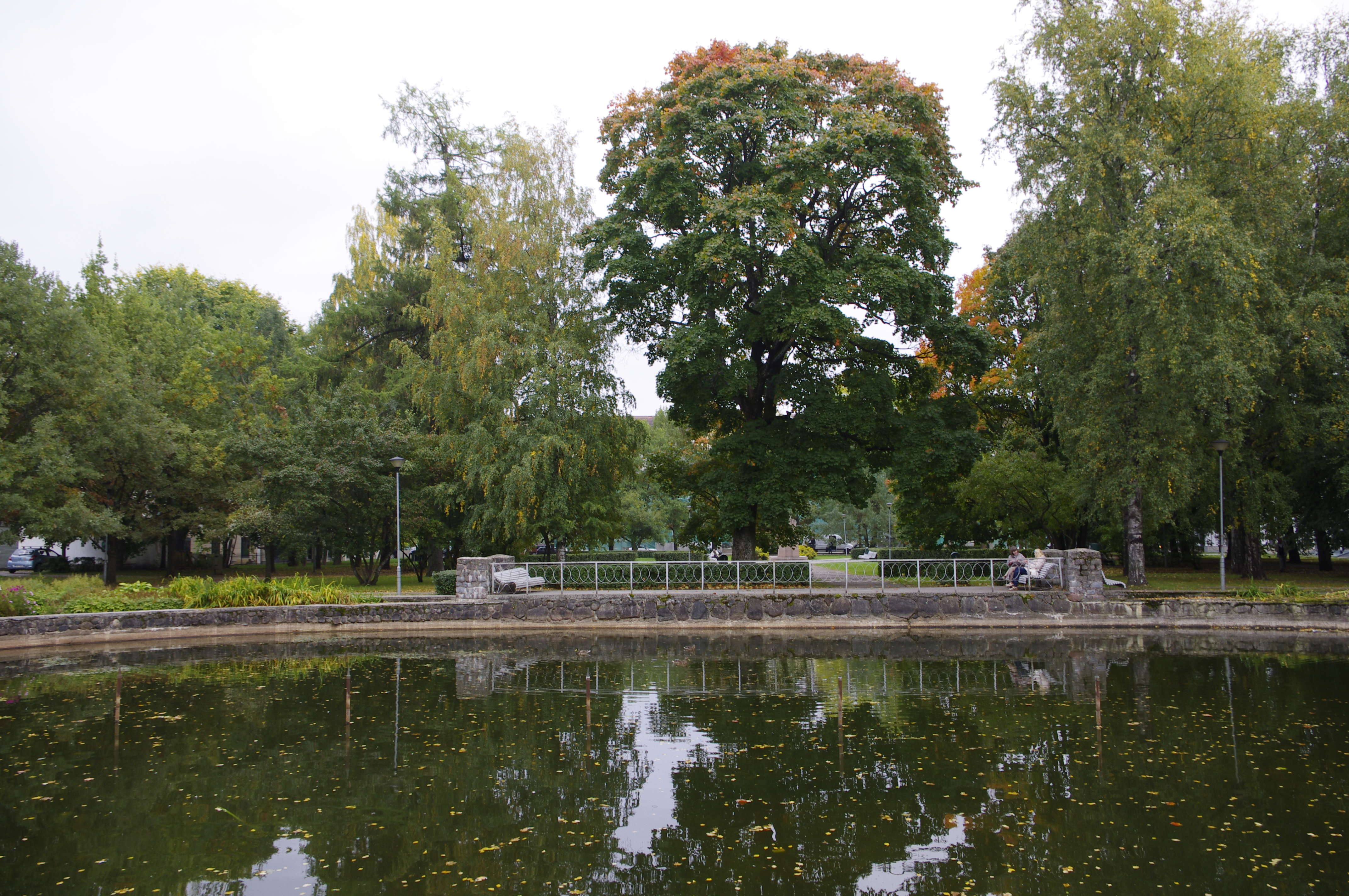 Vanemuise park