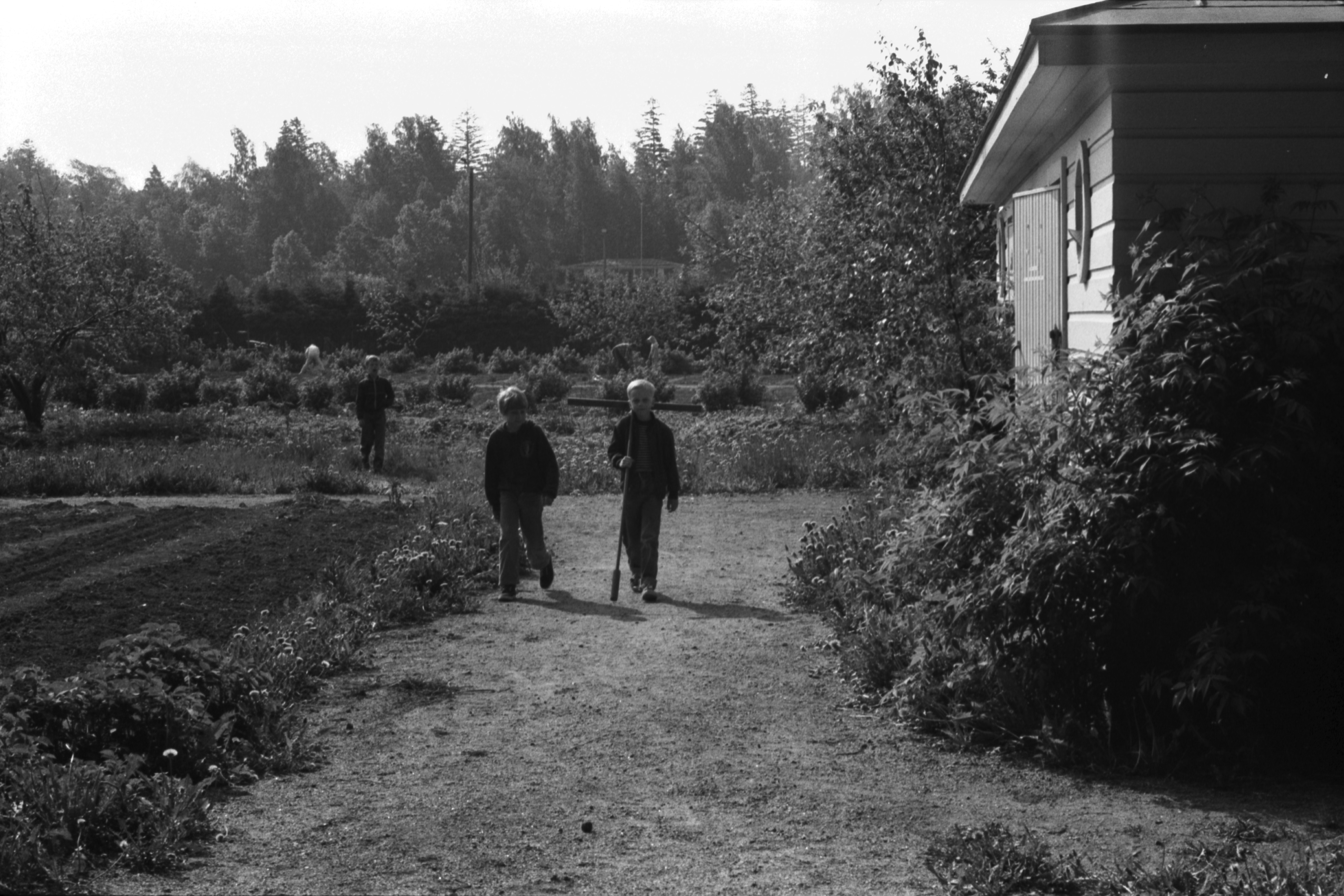 Vähänkyröntie 2-4. Kaksi poikaa (Tuomas Heikkilä ja Aapo Rista) viemässä puutarhatyökalua, lanaa vajaan Kumpulan koulukasvitarhassa.