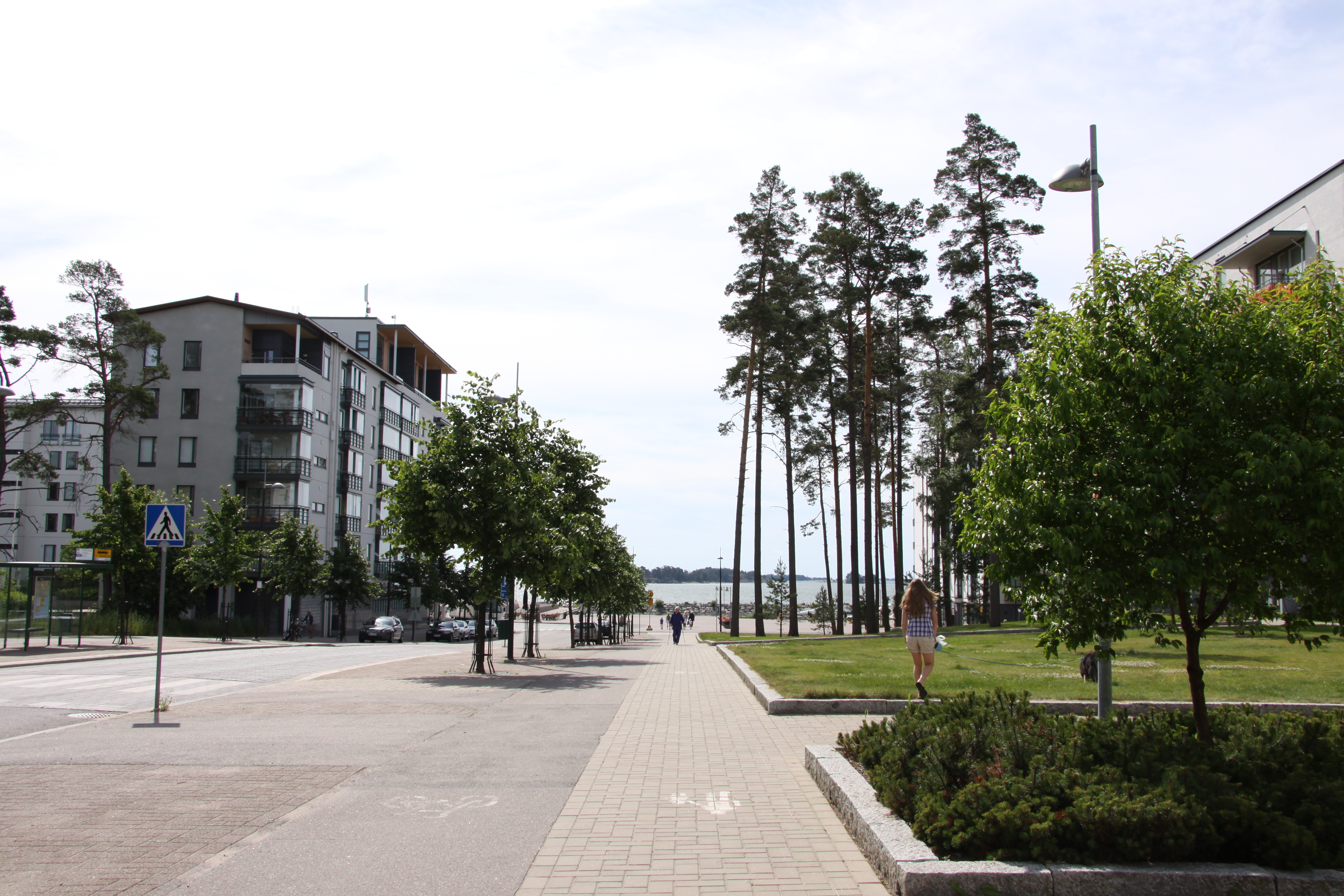 Aurinkolahden puistotie. Oikealla Ivan Falinin puisto.