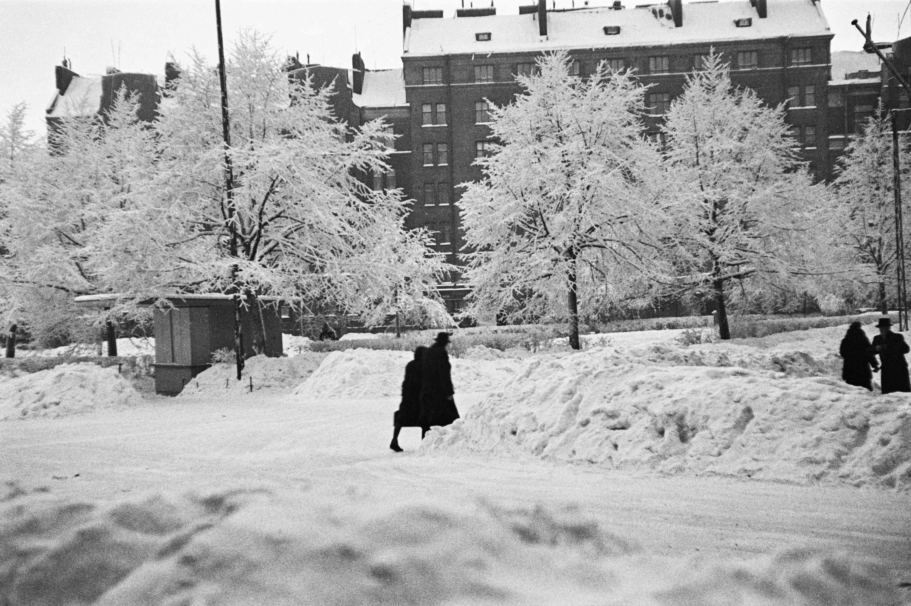 Karhupuisto.  Taustalla Viides linja 12, 14.