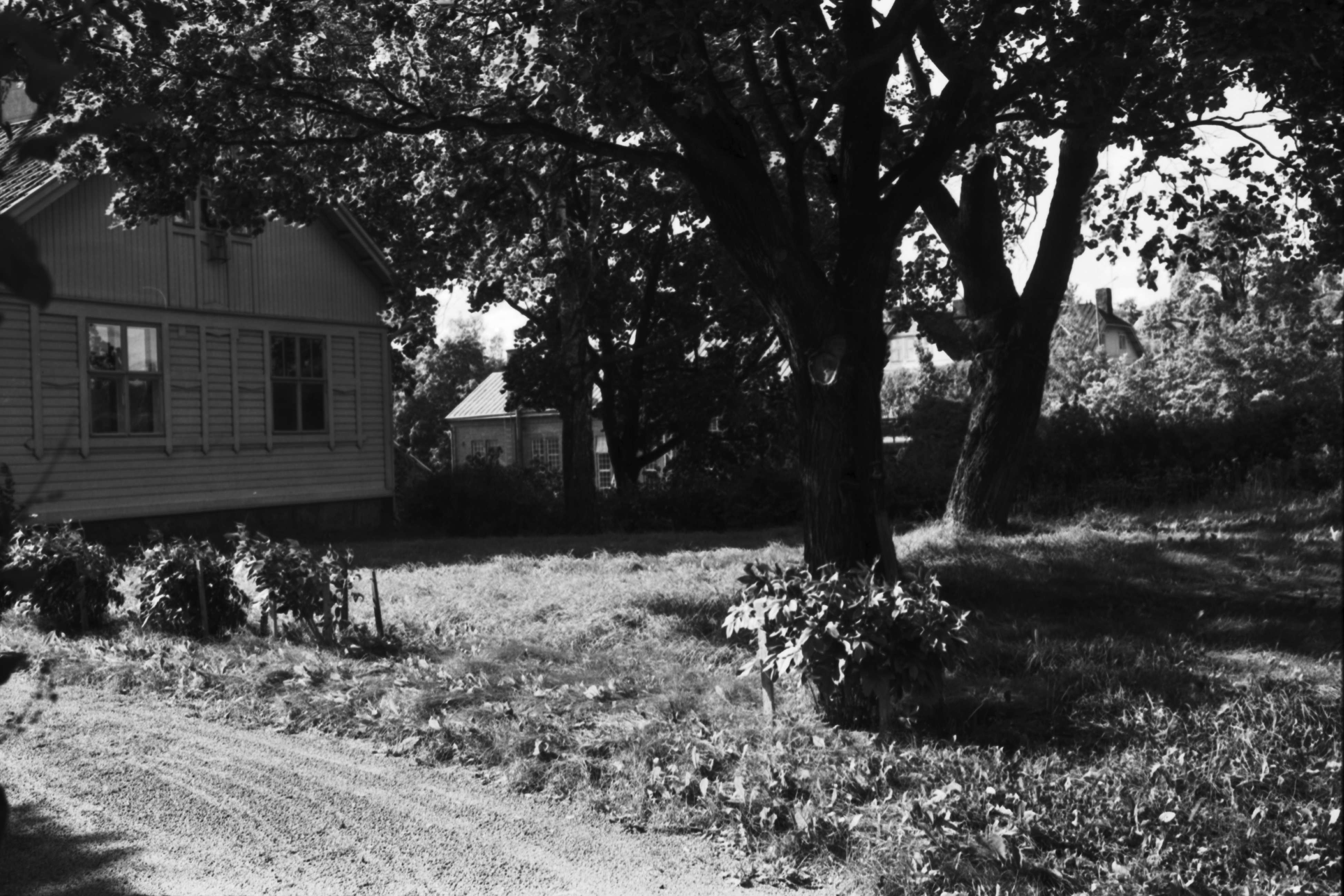 Kuninkaankartanonsaari