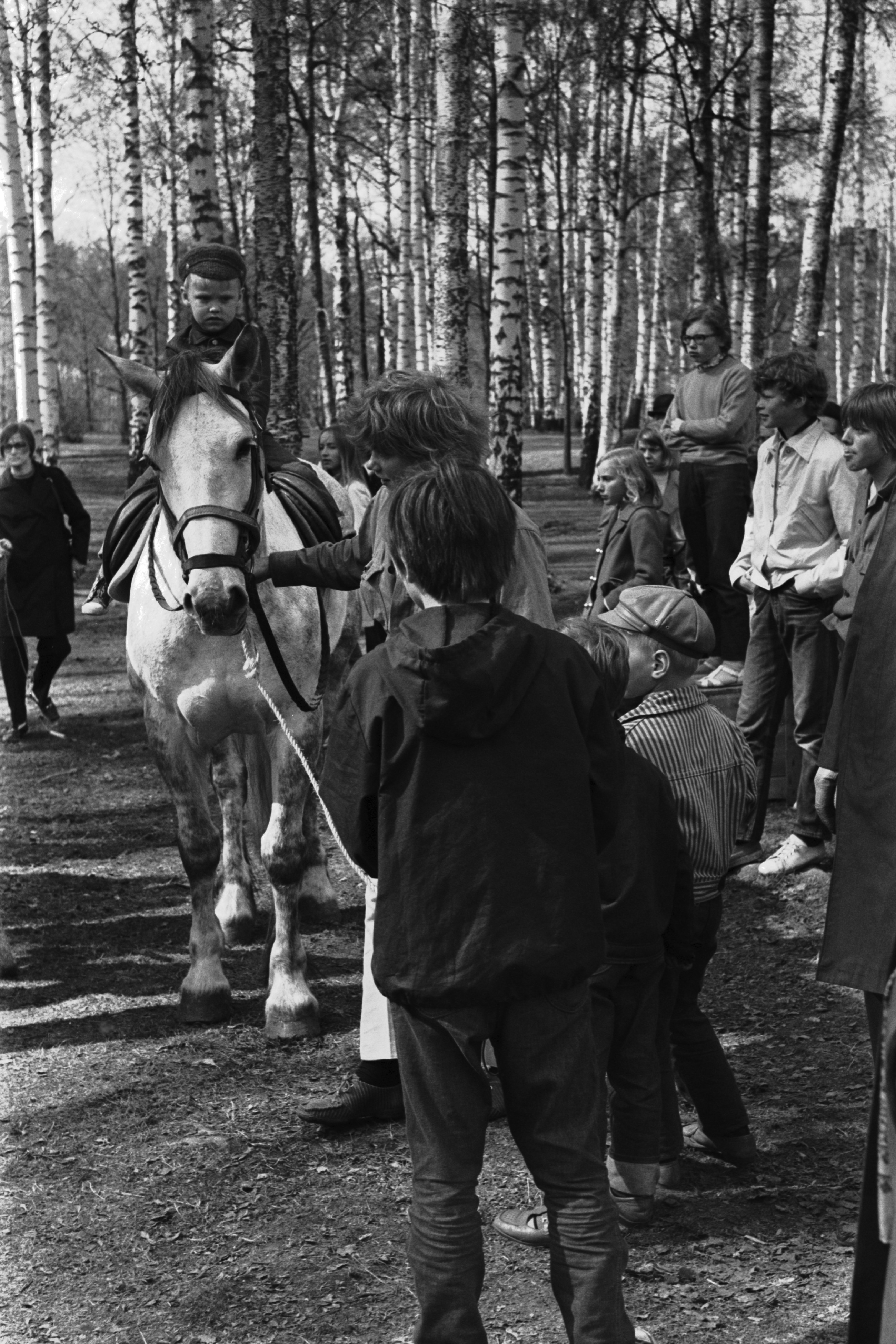 Sibeliuksen puisto. Helsingin juhlaviikot. Pieni poika ratsastamassa ponilla puistotapahtumassa Sibeliuksen puistossa.