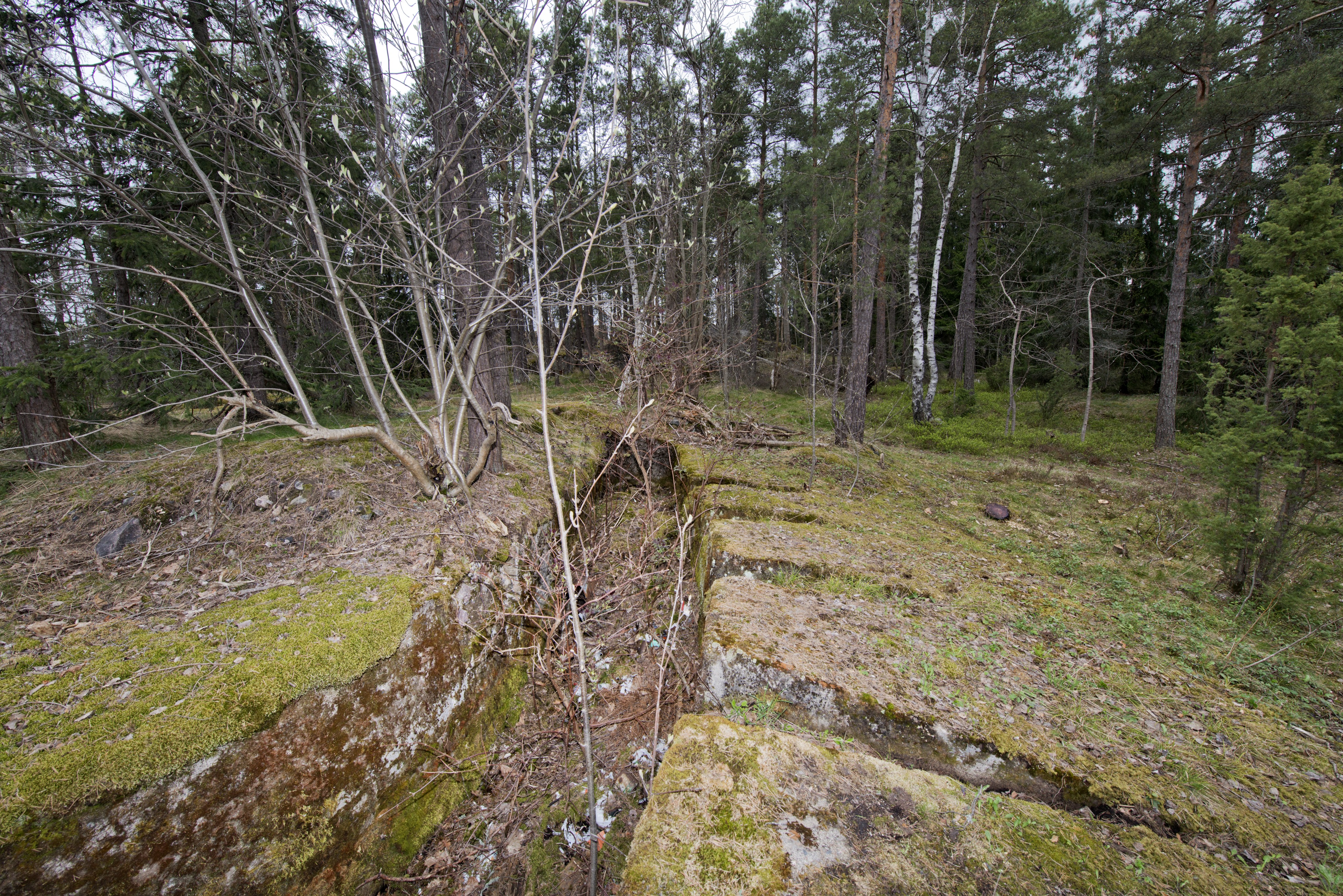 Ruukinranta. Ensimmäisen maailmansodan aikainen maalinnoitus, puolustusasema XXXVI:2 Ruukinrannassa, Espoossa. Kuvassa on aseman eteläosassa sijaitseva kaareva, kallioon louhittu kivääriasema, jossa on ampuma-aukkoja yhdeksälle kiväärimiehelle. Seiniä on tuettu betonilla. Matalat ampuma-aukot lähtevät säteittäin hautamaisesta asemasta. Rakenteen päällä kasvaa sammalta. Asema sijaitsee yksityisen omakotitalon pihamaalla.Asema sijaitsee yksityisen omakotitalon pihamaalla. Kuvaussuuntana pohjoinen.