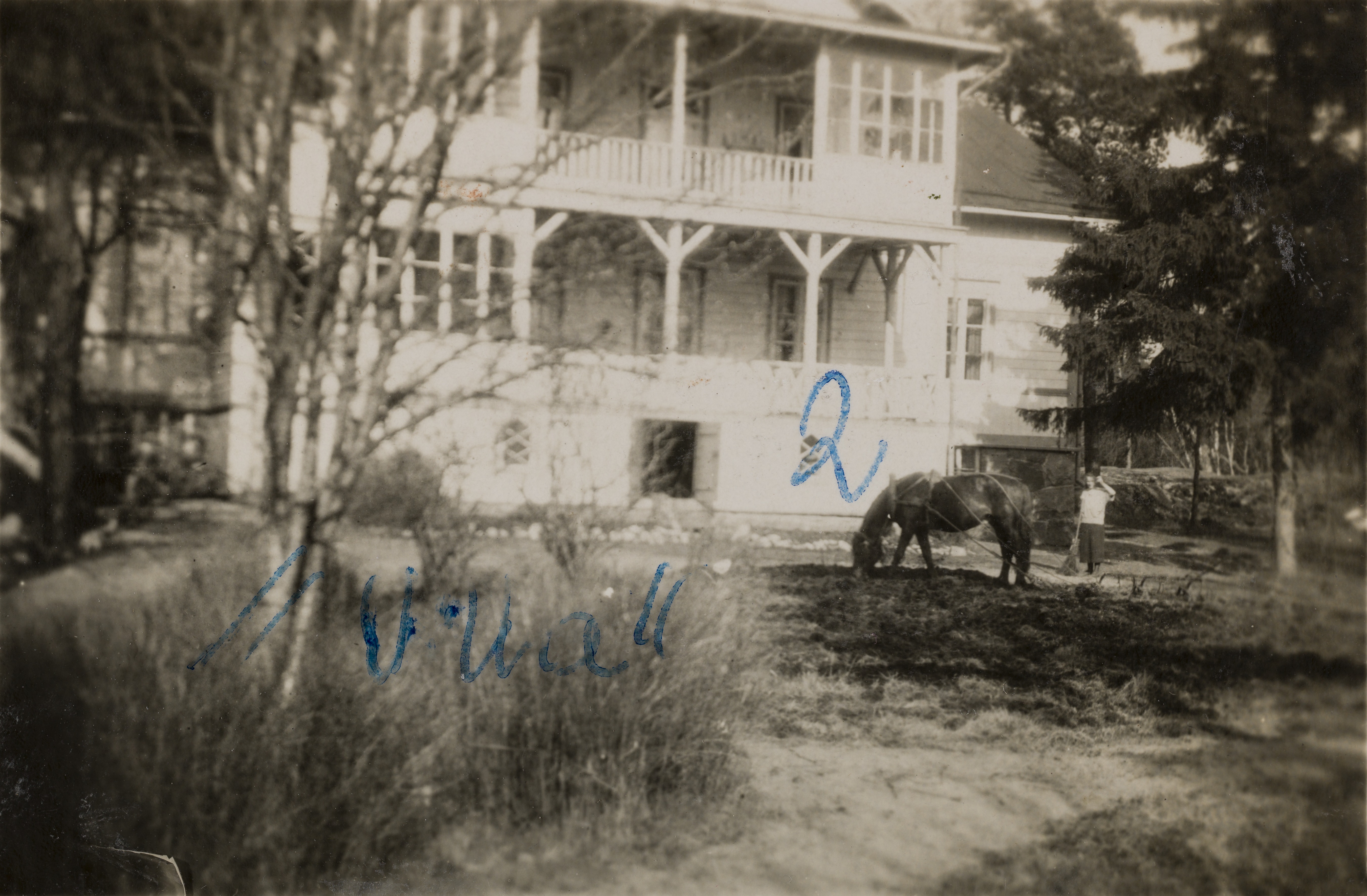 Villa Miramar. Huvilan edustalla hevonen ja nainen, todennäköisesti rouva Ekman.