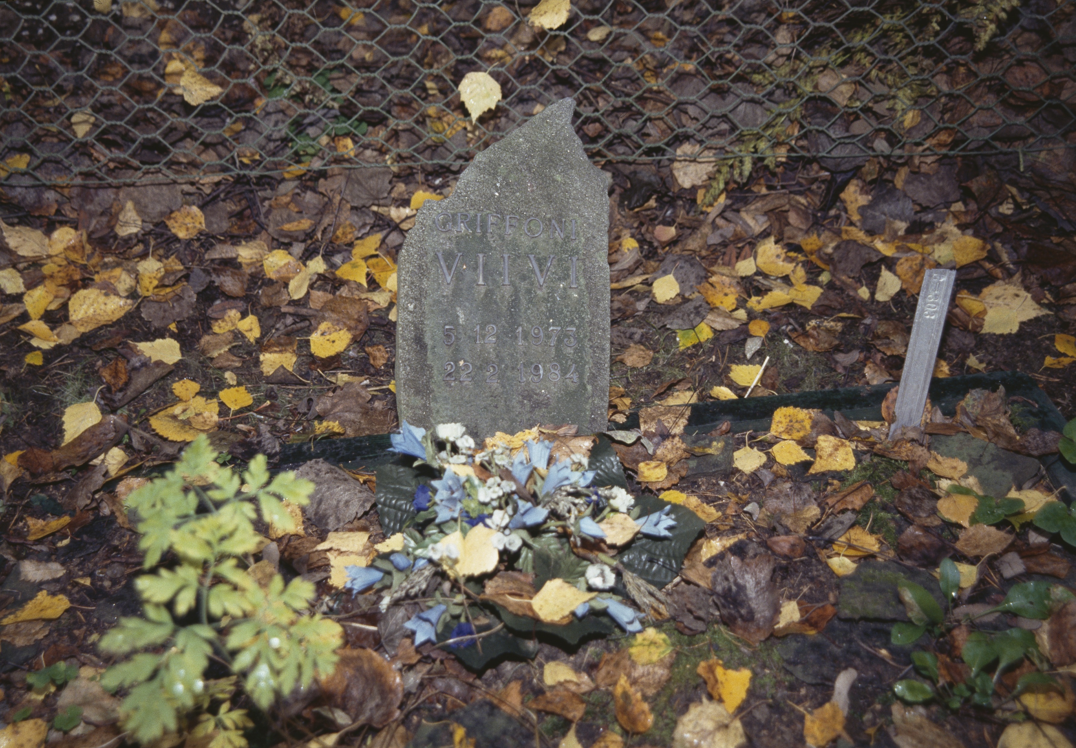 Syksyinen Eläinten hautausmaa