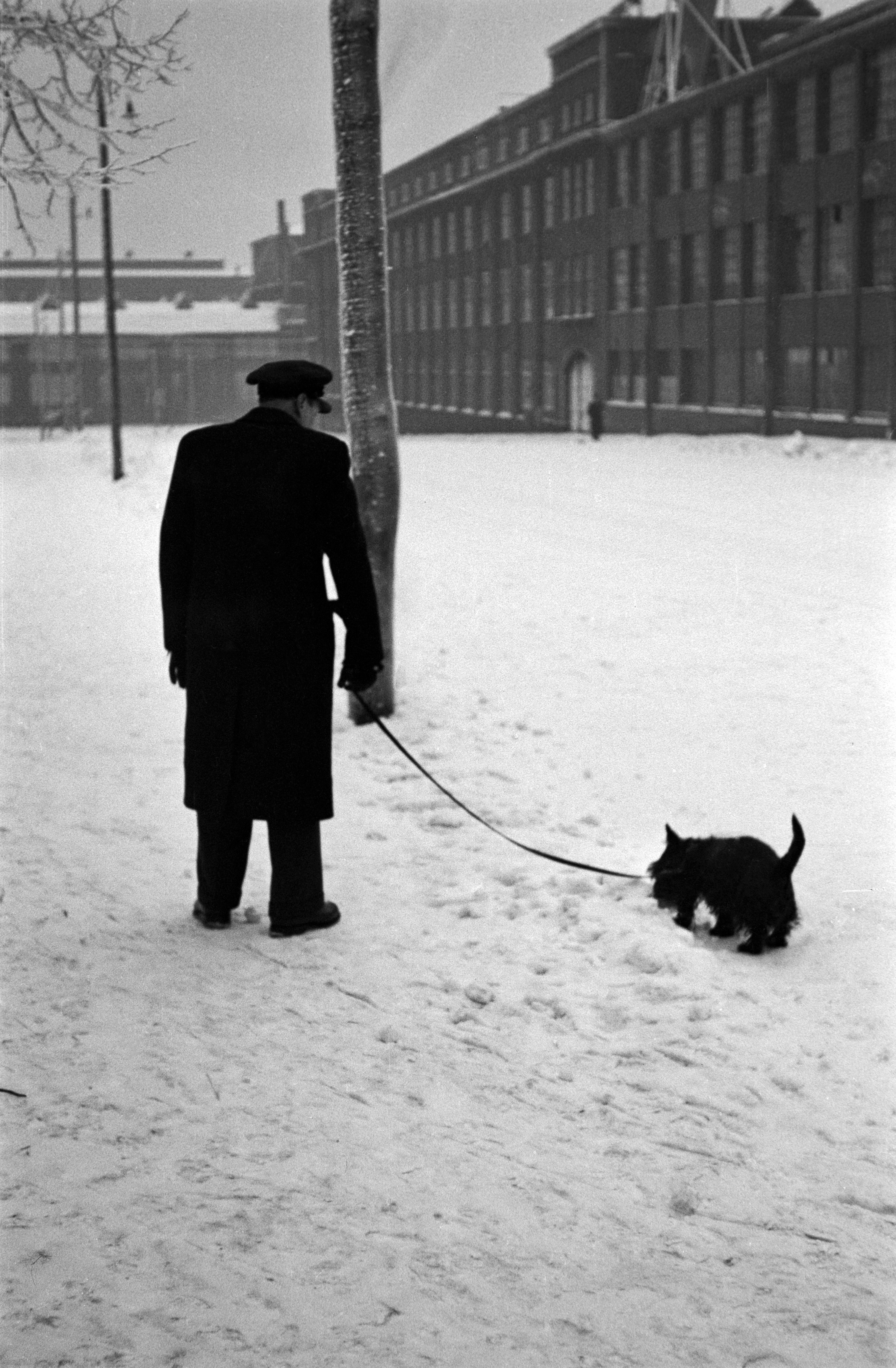 Mies ulkoiluttamassa koiraa talvella Haapaniemenkatu 5:n kohdalla.