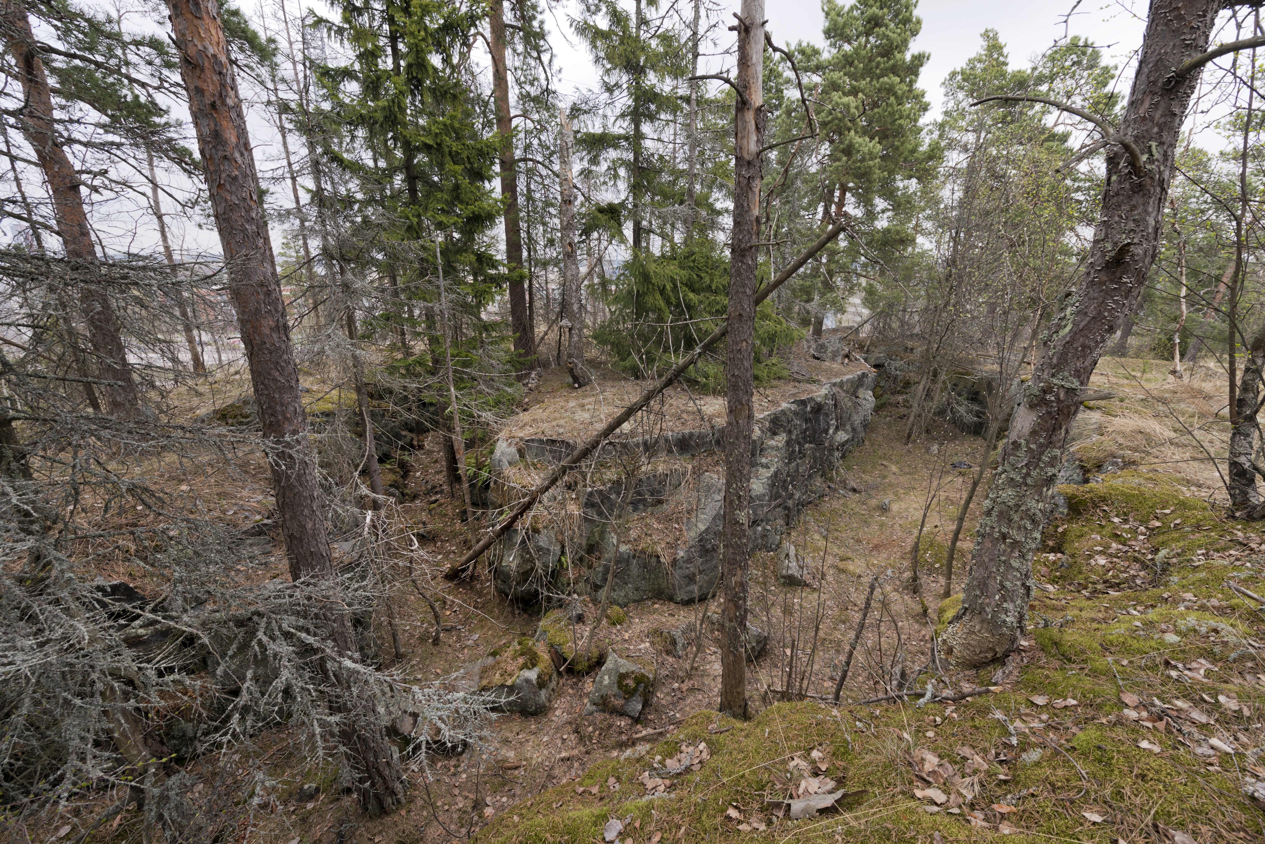 Ruukinranta. Ensimmäisen maailmansodan aikainen maalinnoitus, puolustusasema XXXVI:1 Ruukinrannassa, Espoossa. Kuvassa näkyy aseman XXXVI:1 itäosaan kuuluvaa, kallioon louhittua yhdyshautaa. Hauta jakautuu keskeltä kahdeksi kalliota kiertäväksi osaksi. Seinämät ovat jyrkät ja pohjalla on kivenlohkareita. Vasemmalla puiden lomasta erottuu rakennuksia. Kuvaussuuntana mahdollisesti koillinen.