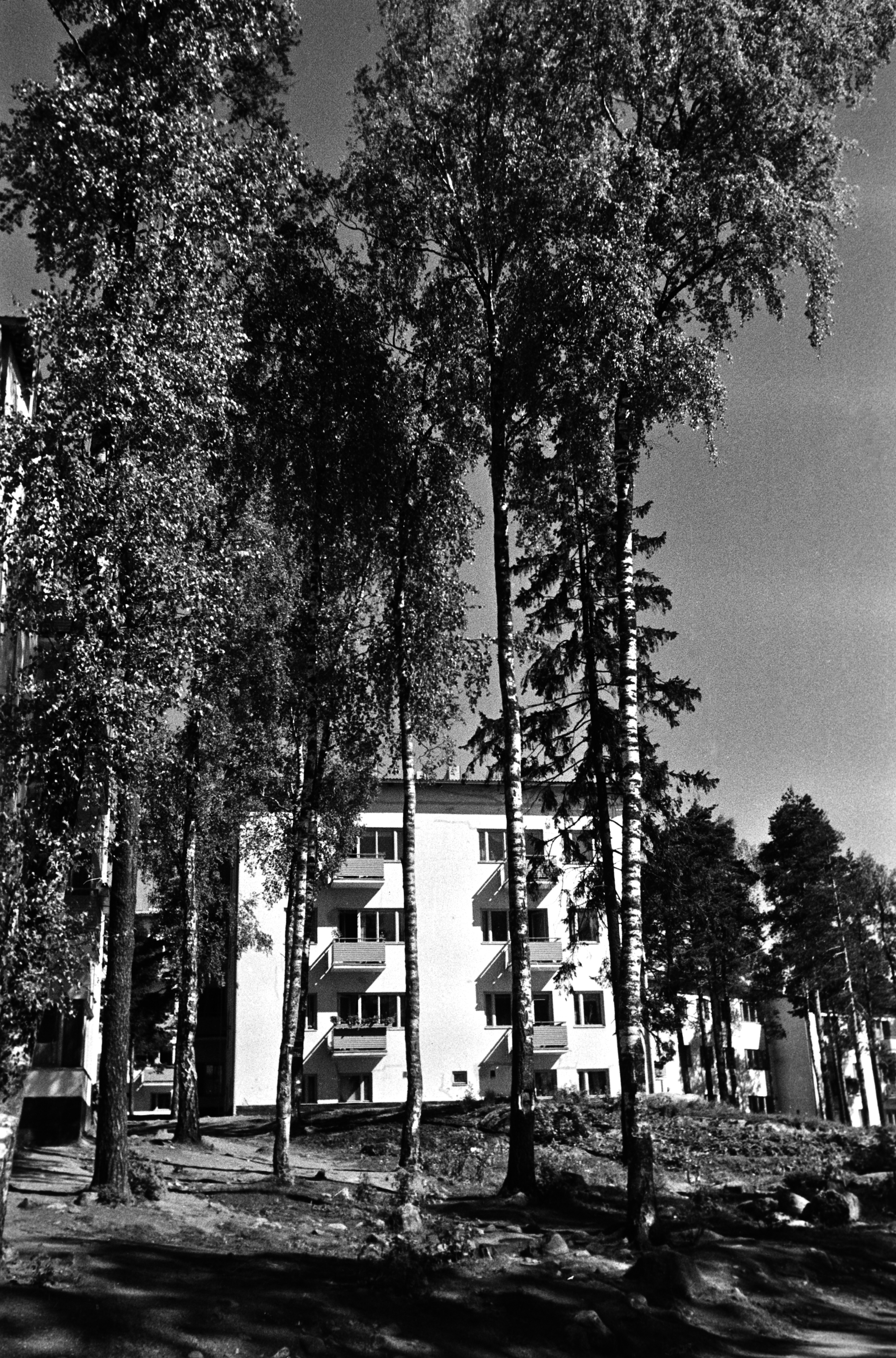 Untamontie 10. Kerrostalo ja pihalla kasvavia puita.