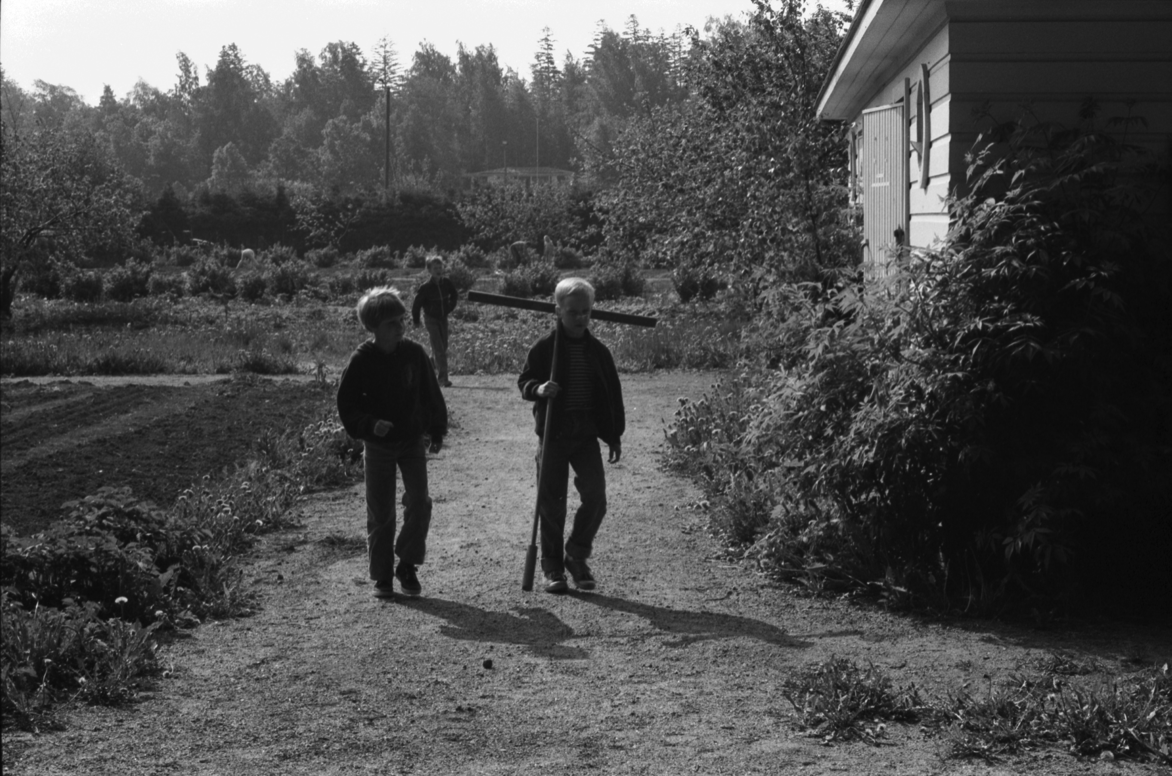 Vähänkyröntie 2-4. Kaksi poikaa (Tuomas Heikkilä ja Aapo Rista) viemässä puutarhatyökalua, lanaa vajaan Kumpulan koulukasvitarhassa.