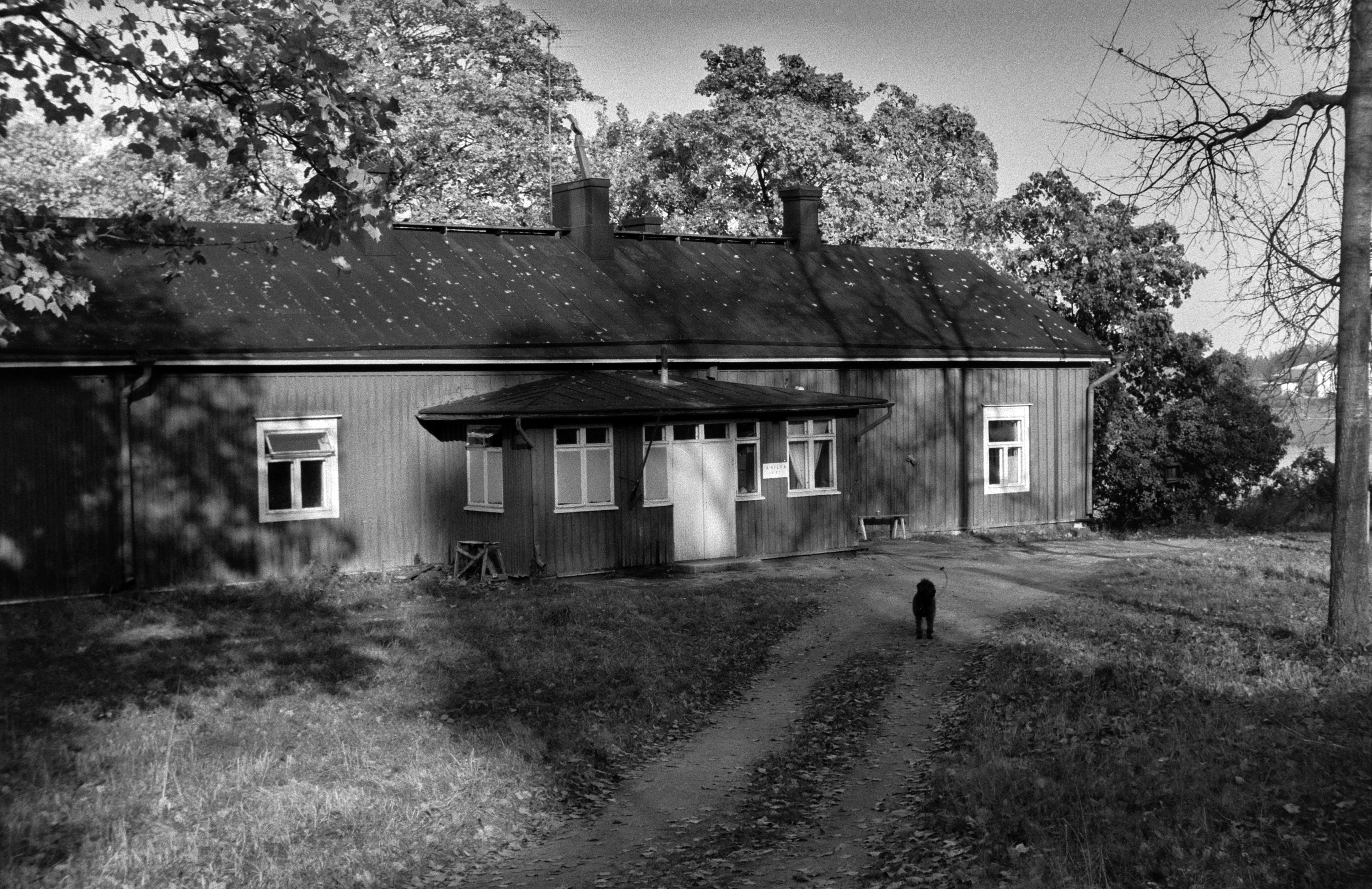 Toivolan vanha päärakennus ja pieni koira Oppilaskoti Toivolan pihassa. Kuvannut Jarno Peltonen vuonna 1974.
