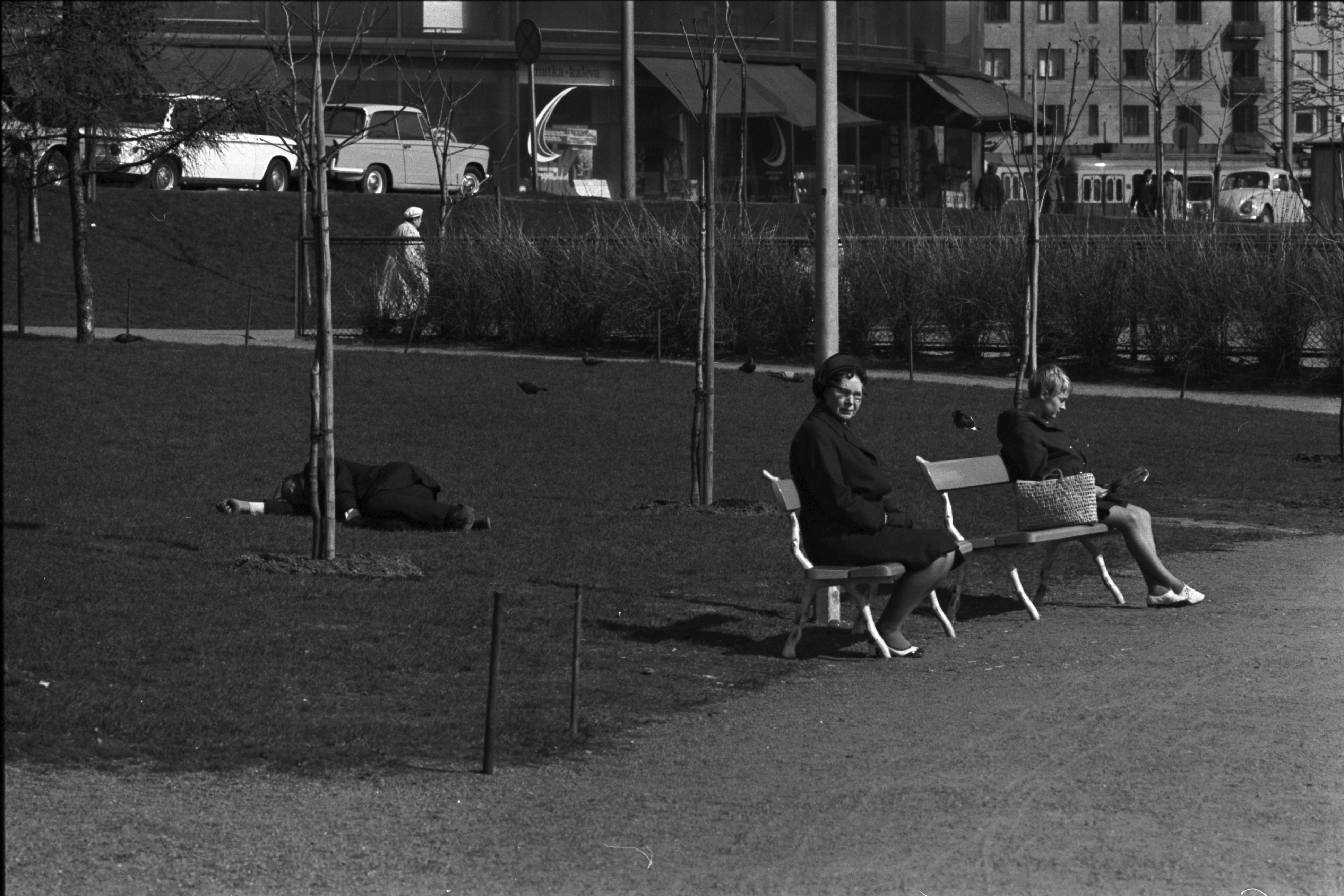 Tokoinranta. Mies makaamassa nurmikolla ja naisia istumassa penkillä Eläintarhanlahden rannalla Ympyrätalon kohdalla. Takana autot vasemmalta oikealle: BMW, Triumph Herald.