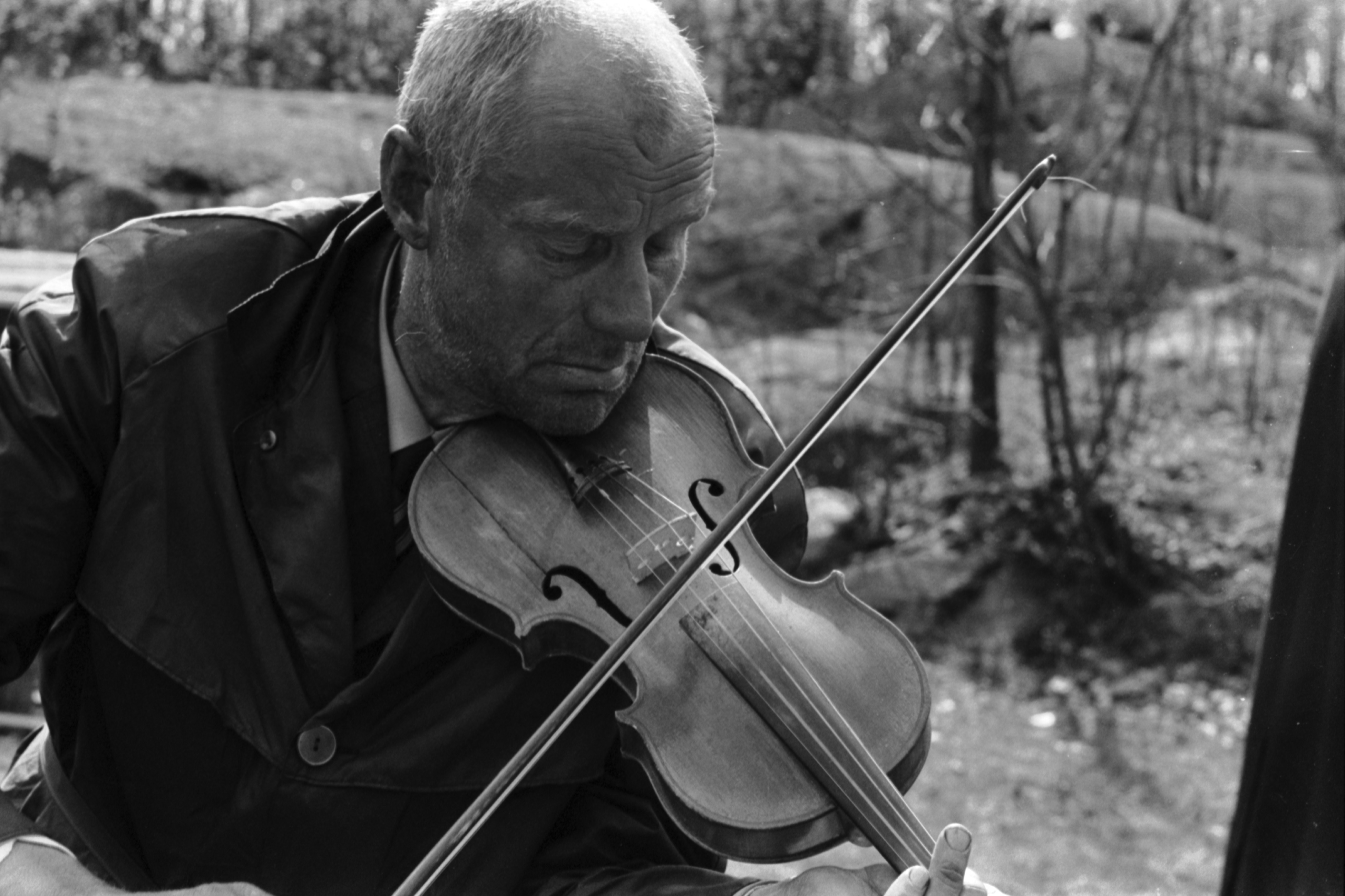 Sibeliuksen puisto. Helsingin juhlaviikot. Vanha mies soittamassa viulua puistotapahtumassa Sibeliuksen puistossa.