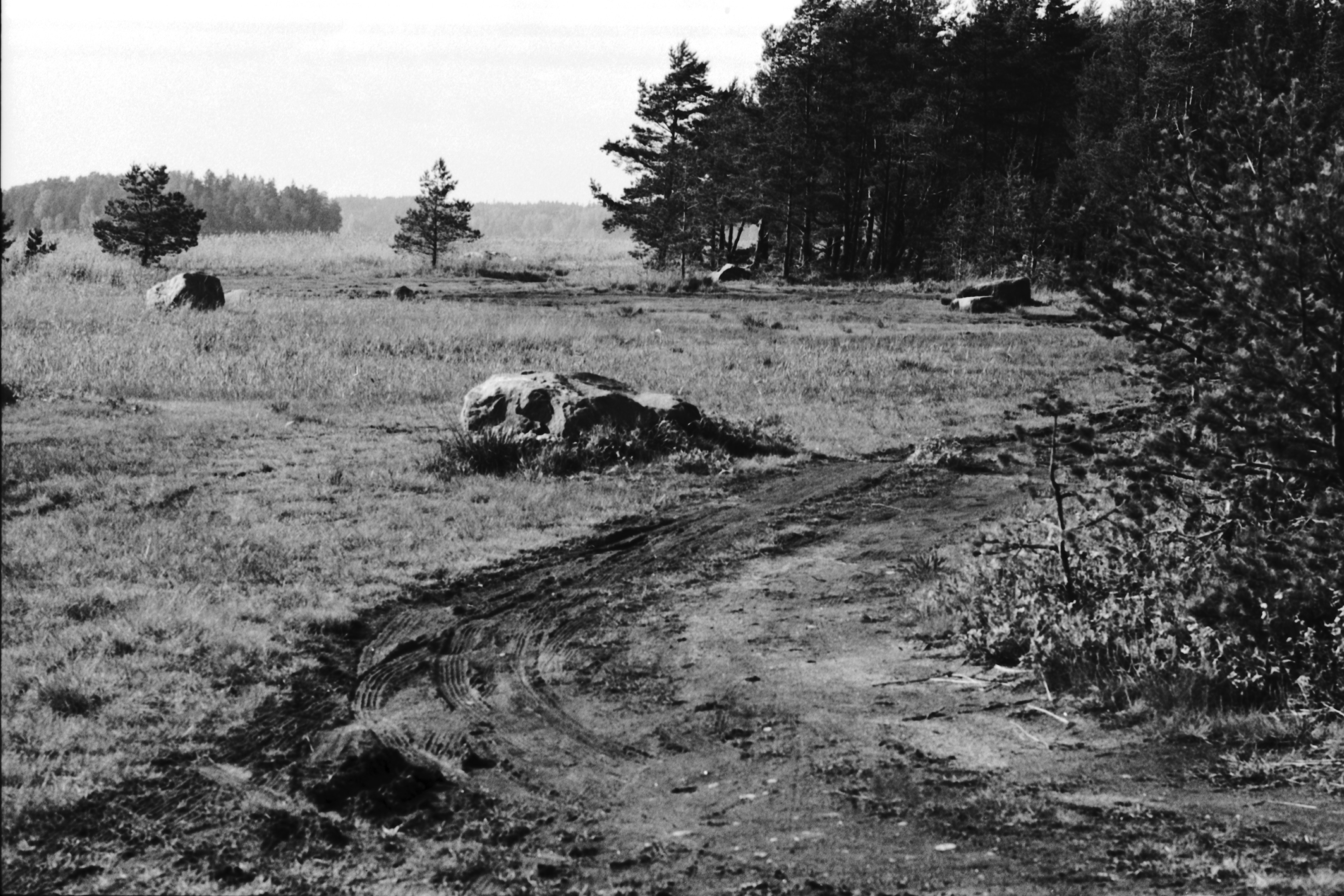 Kallahdenniemi. Kallahdenniemen rantamaisemaa Vuosaaressa. Maassa autonpyörän jälkiä.