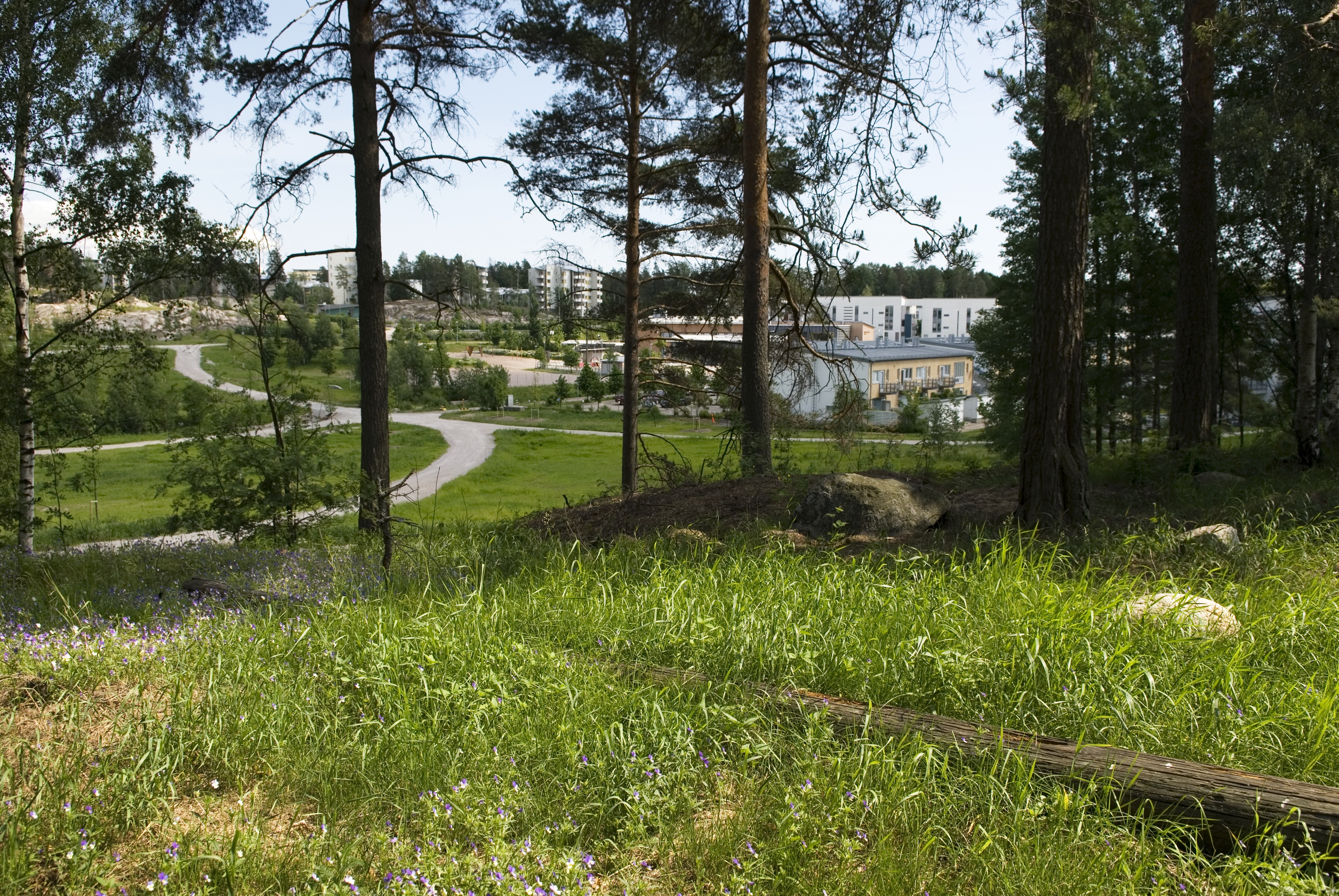 Paukkulanpuisto,, kauempana näkyy Kivikon asuinaluetta. Puiston alueella on sijainnut puolustusvoimien rakentama Malmin ampumarata, joka valmistui vuonna 1937 Helsingissä järjestettyihin ammunnan MM-kisoihin, ja suljettiin vuonna 1993.