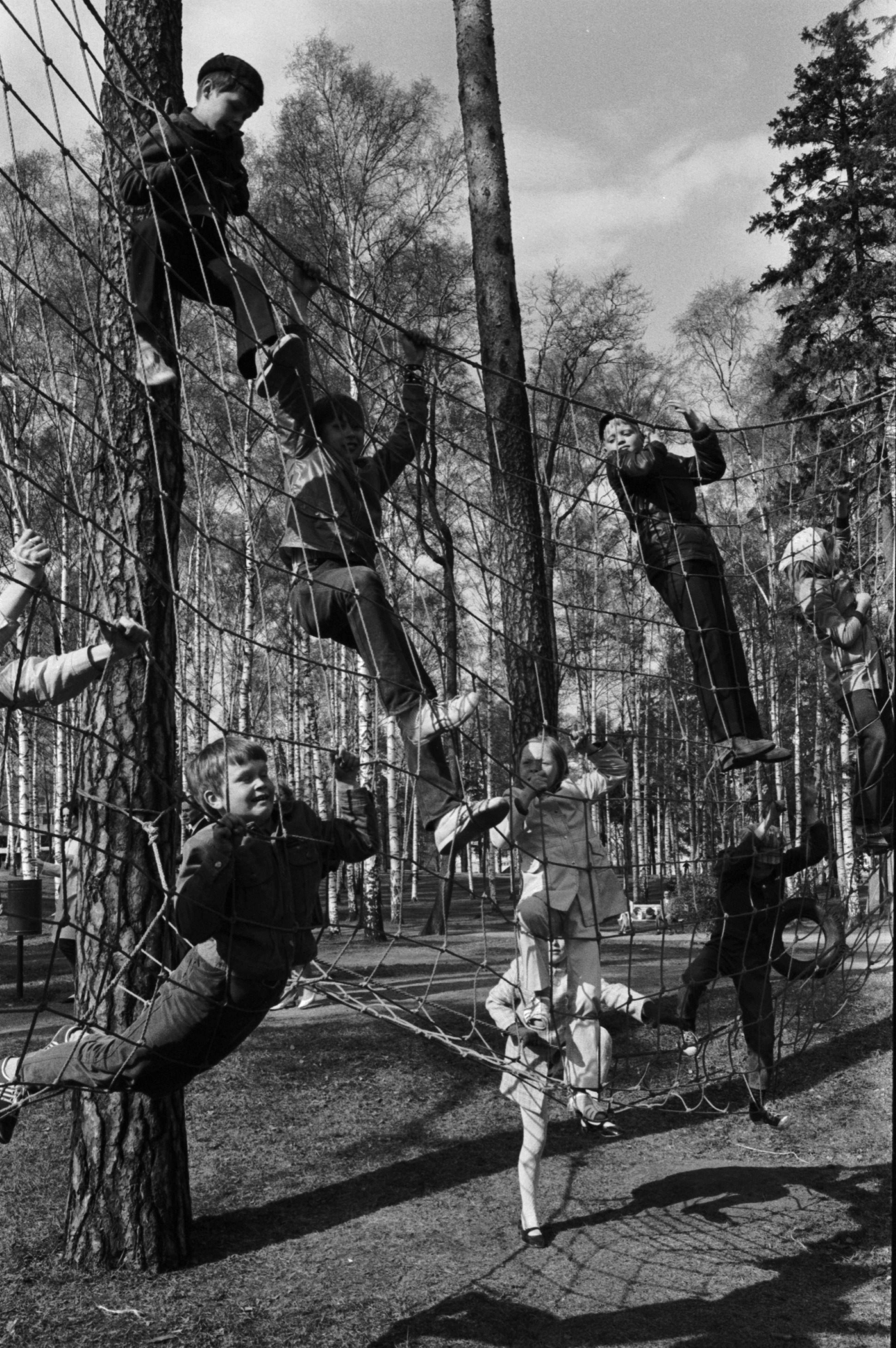 Sibeliuksen puisto. Helsingin juhlaviikot. Lapsia kiipeilemässä puihin pingotetussa verkossa Sibeliuksen puistossa järjestetyssä puistotapahtumassa.