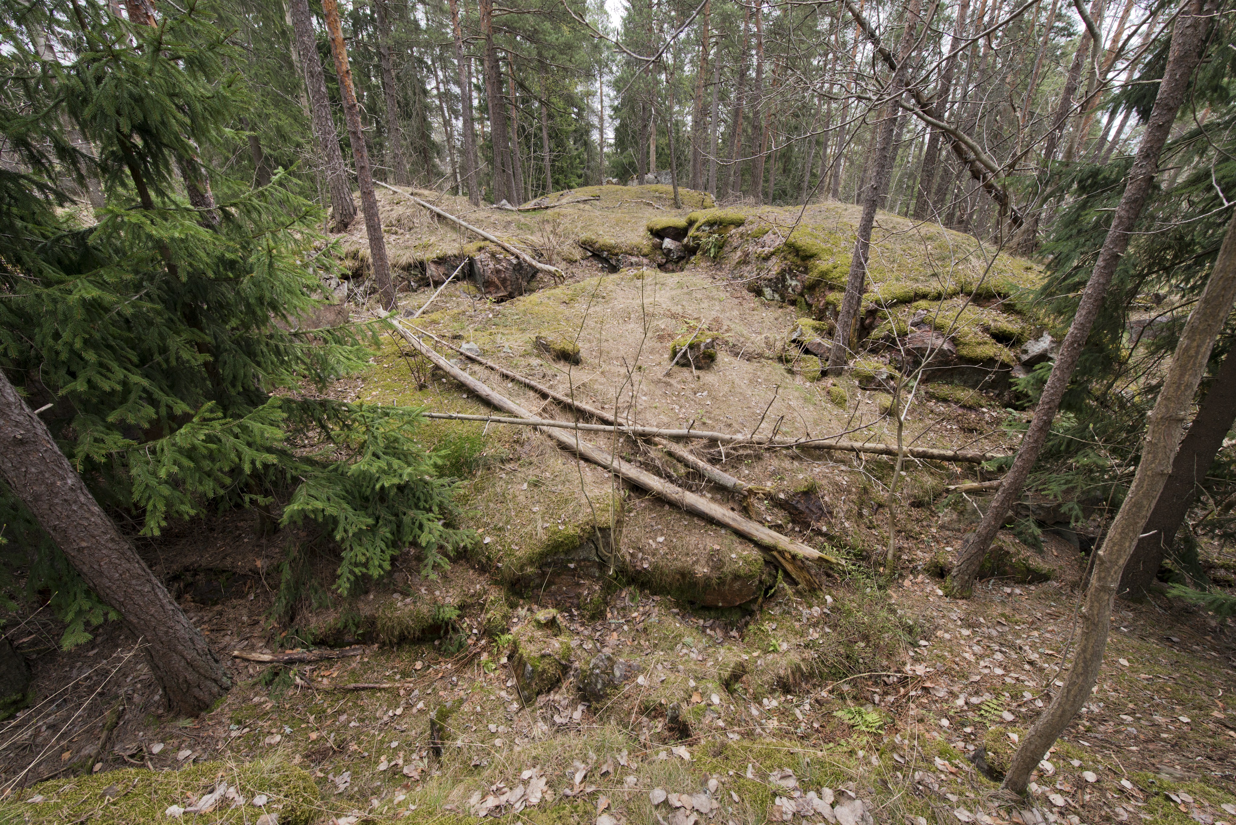 Ruukinranta. Ensimmäisen maailmansodan aikainen maalinnoitus, puolustusasema XXXVI:1 Ruukinrannassa, Espoossa. Kuvassa on aseman XXXVI:1 itäosaan kuuluva mahdollinen maavalli tai -rakennelma. Kuvassa näkyy myös louhittua kalliota sekä lohkokiviä siellä täällä. Rakenteen päällä ja ympäristössä on maatuvia puita. Turve ja sammal ovat peittäneet rakenteet lähes kokonaan.