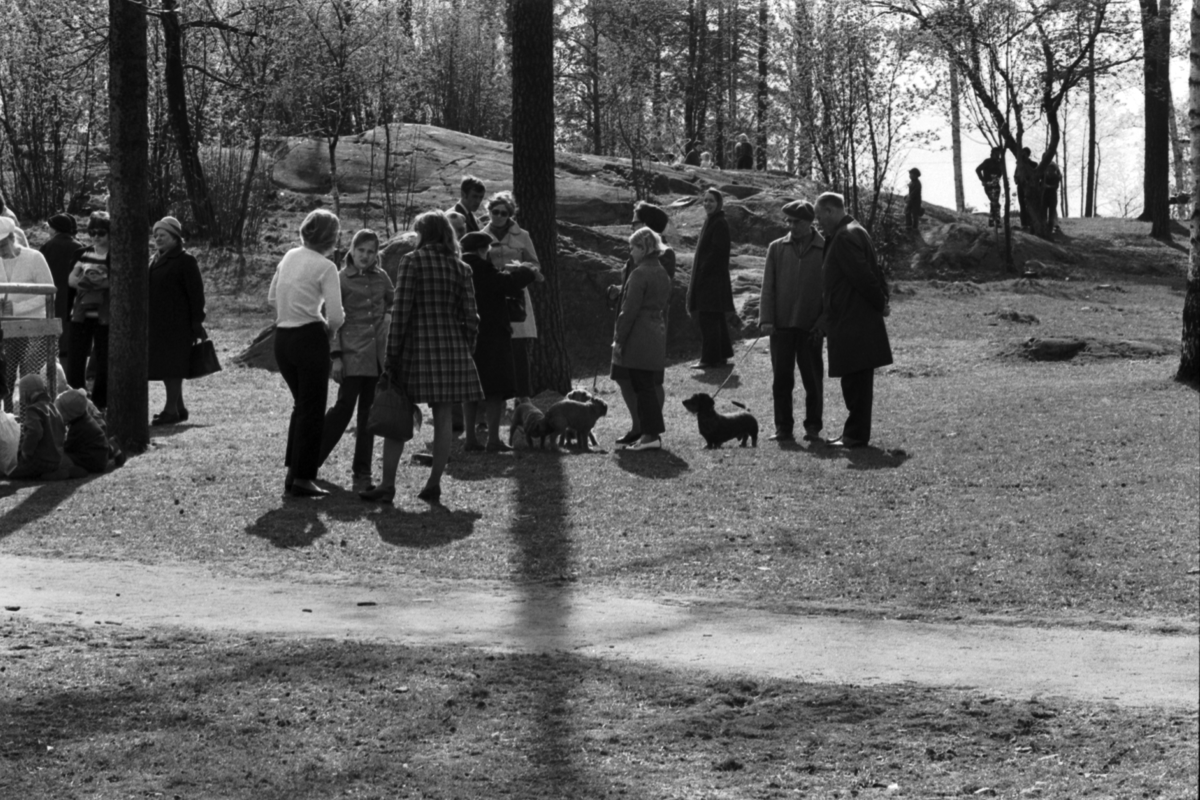 Sibeliuksen puisto