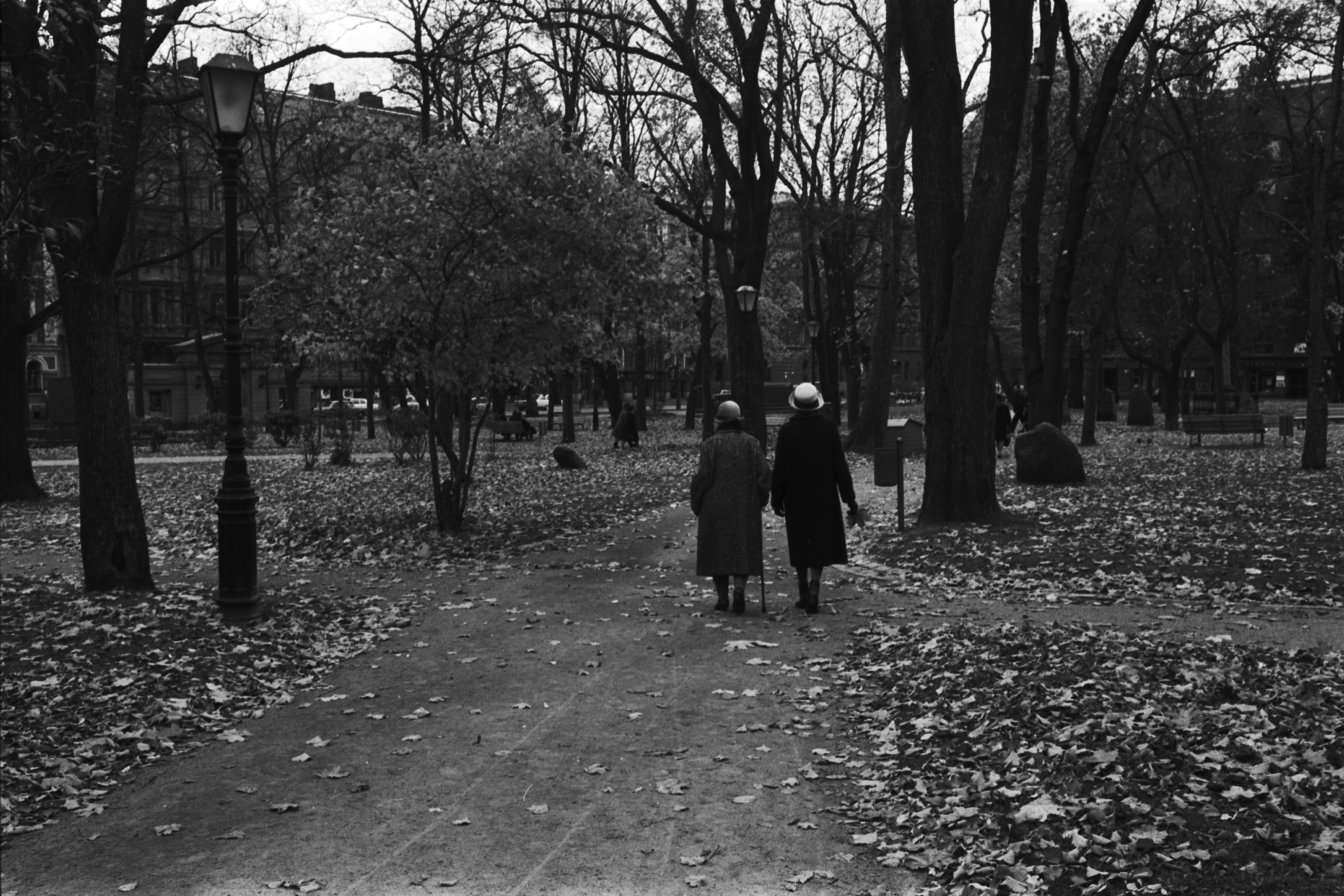 Kaksi vanhusta syksyisessä Vanhassa kirkkopuistossa.