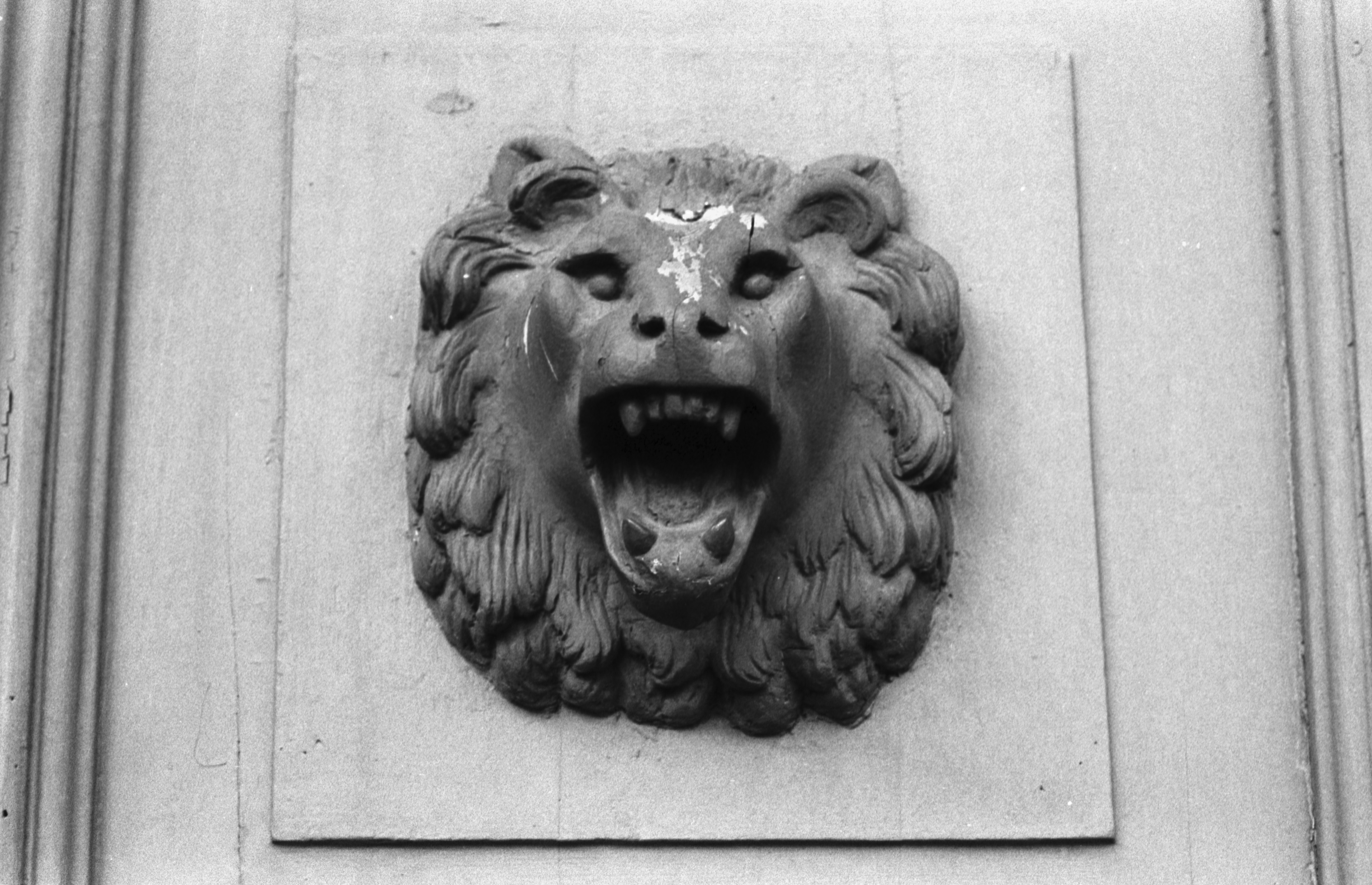 Ritarikatu 1. Hallituskatu 2. Leijonan pää -reliefi Ritarihuoneen pääovessa Ritaritalon puistikon puolella.