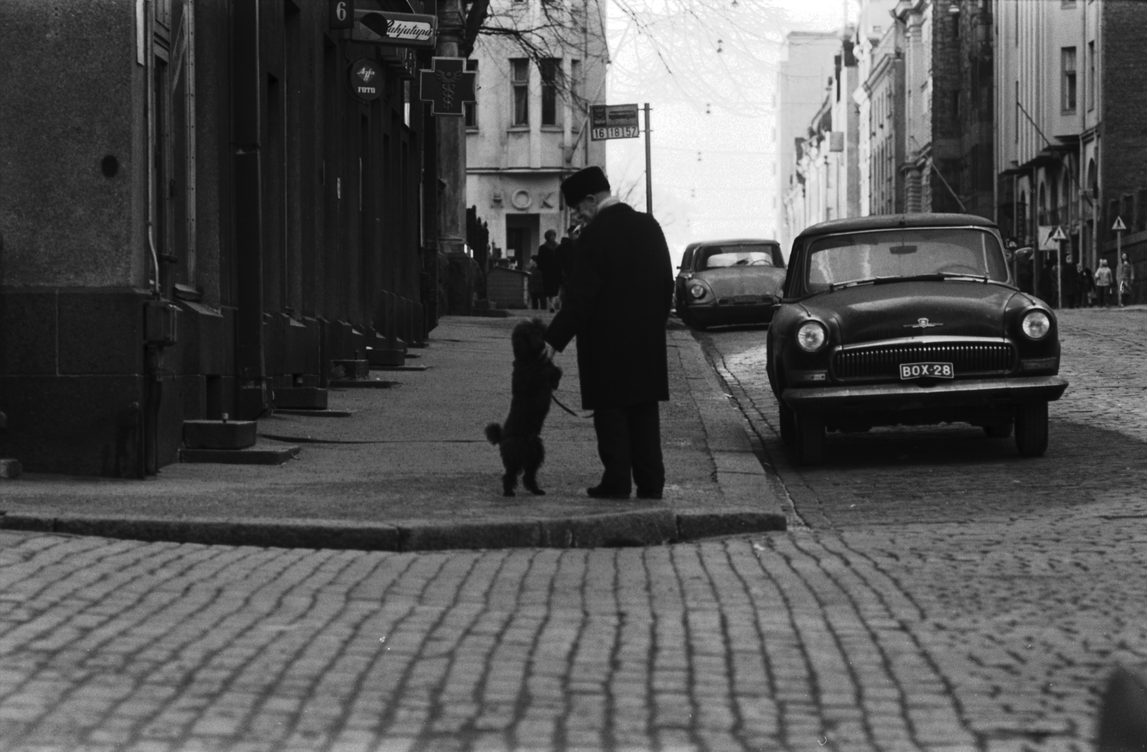 Kruununhaka, Liisankatu. Mies ja kahdella jalalla seisova villakoira Liisankadulla Meritullinkadun kulmassa. Kadun laidassa pysäköityinä Volga M-21 ja Citroen ID/DS. Taustalla Helsingin Osuuskaupan lihamyymälä, Liisankatu 12. Näkymä länteen, Mariankadun suuntaan.