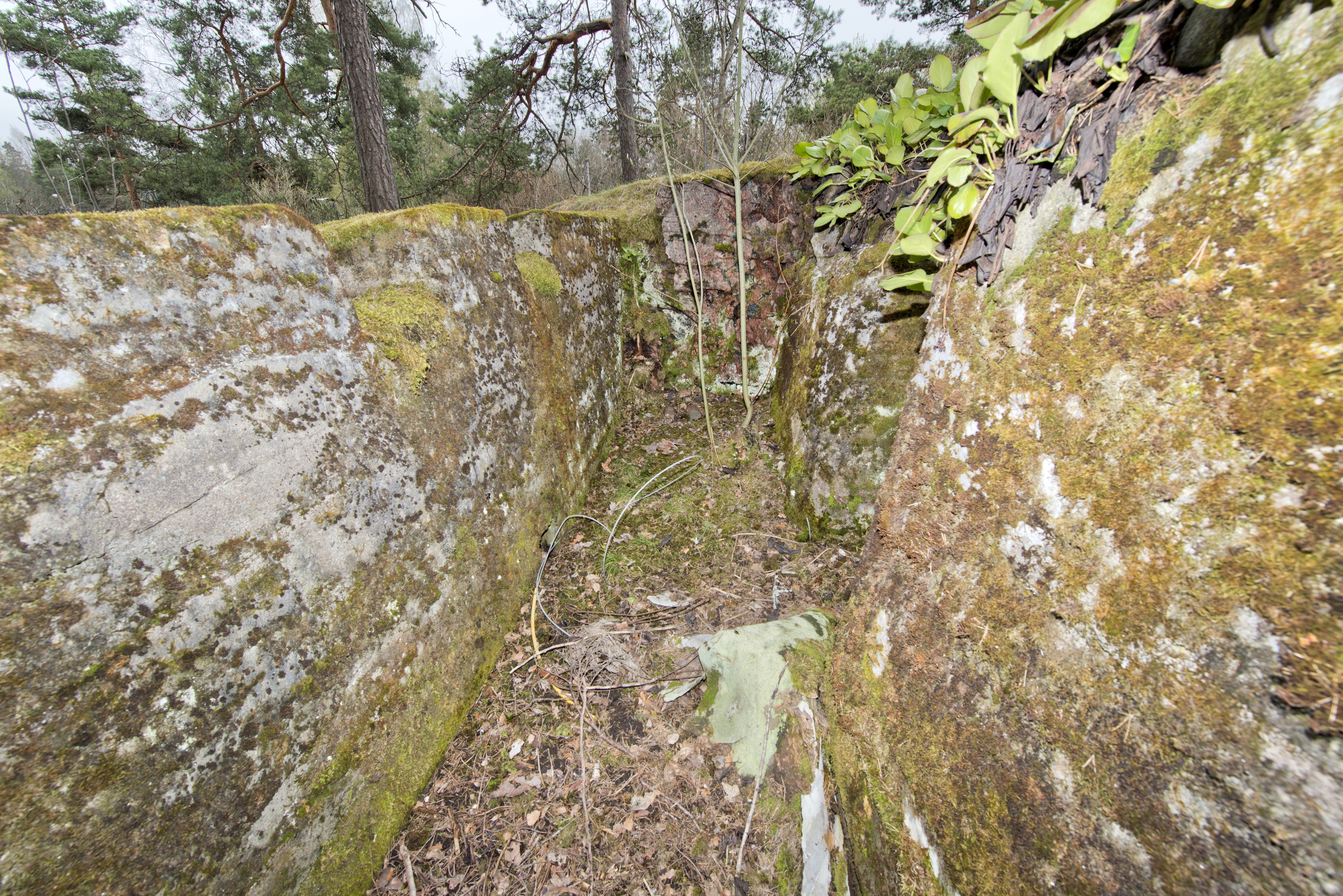 Ruukinranta
