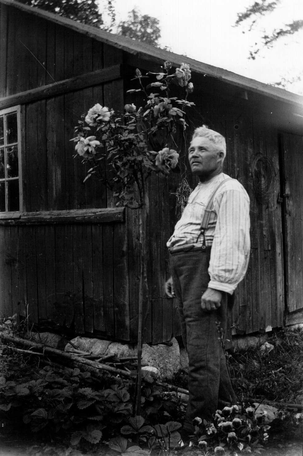 Asetinlaitemies Oskar Kattainen (s. 1873) kotipihallaan Pasilassa, Hannankatu 15.