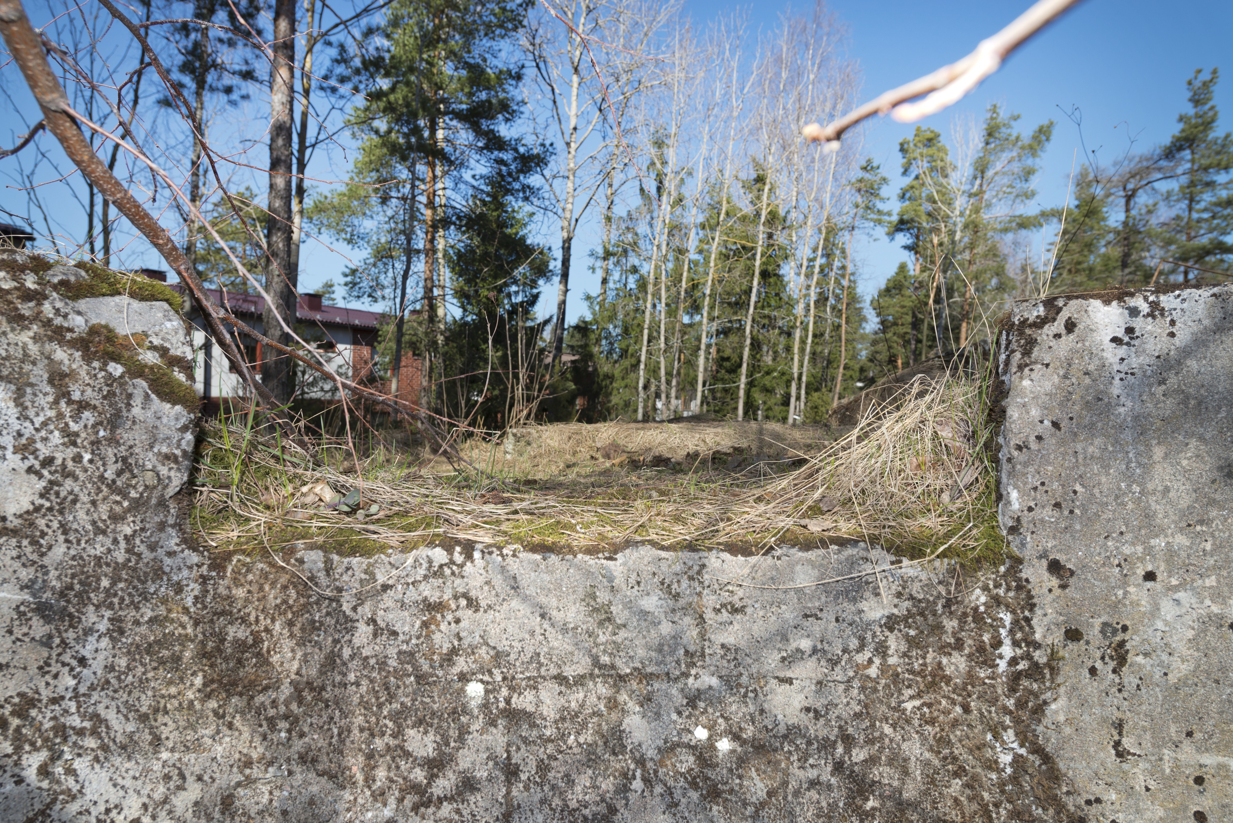 Länsimäki. Ensimmäisen maailmansodan aikainen maalinnoitus, puolustusasema II:7, pohjoinen puolustusasema A Länsimäessä, Vantaalla. Kuvassa on kallioon louhittu, betonilla tuettu konekivääriasema ja sen ampuma-aukko. Aukko avautuu levenevään reunoiltaan porrastettuun ampumasektoriin. Taustalla näkyy puita ja asuinrakennuksia. Kuvaussuuntana luode.
