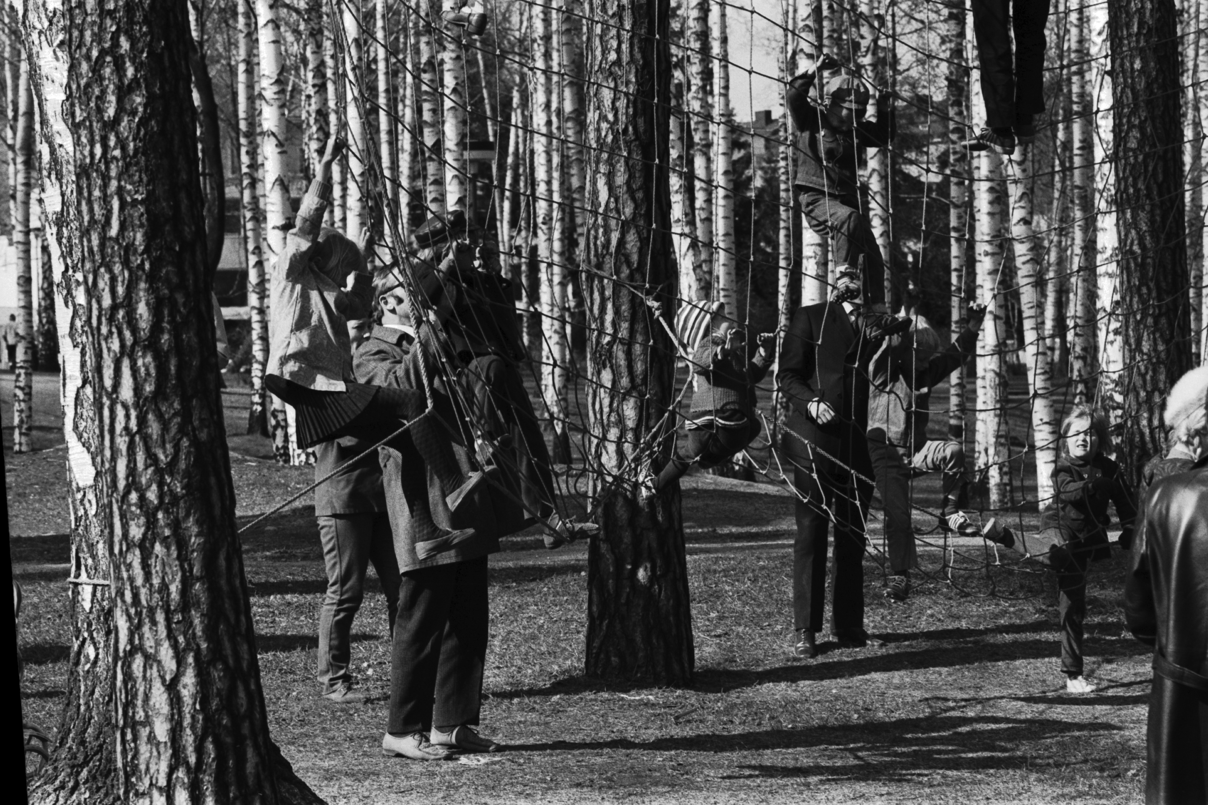 Sibeliuksen puisto. Helsingin juhlaviikot. Vanhemmat auttavat lapsia puihin pingotetussa verkossa kiipeilyssä Sibeliuksen puistossa järjestetyssä puistotapahtumassa.
