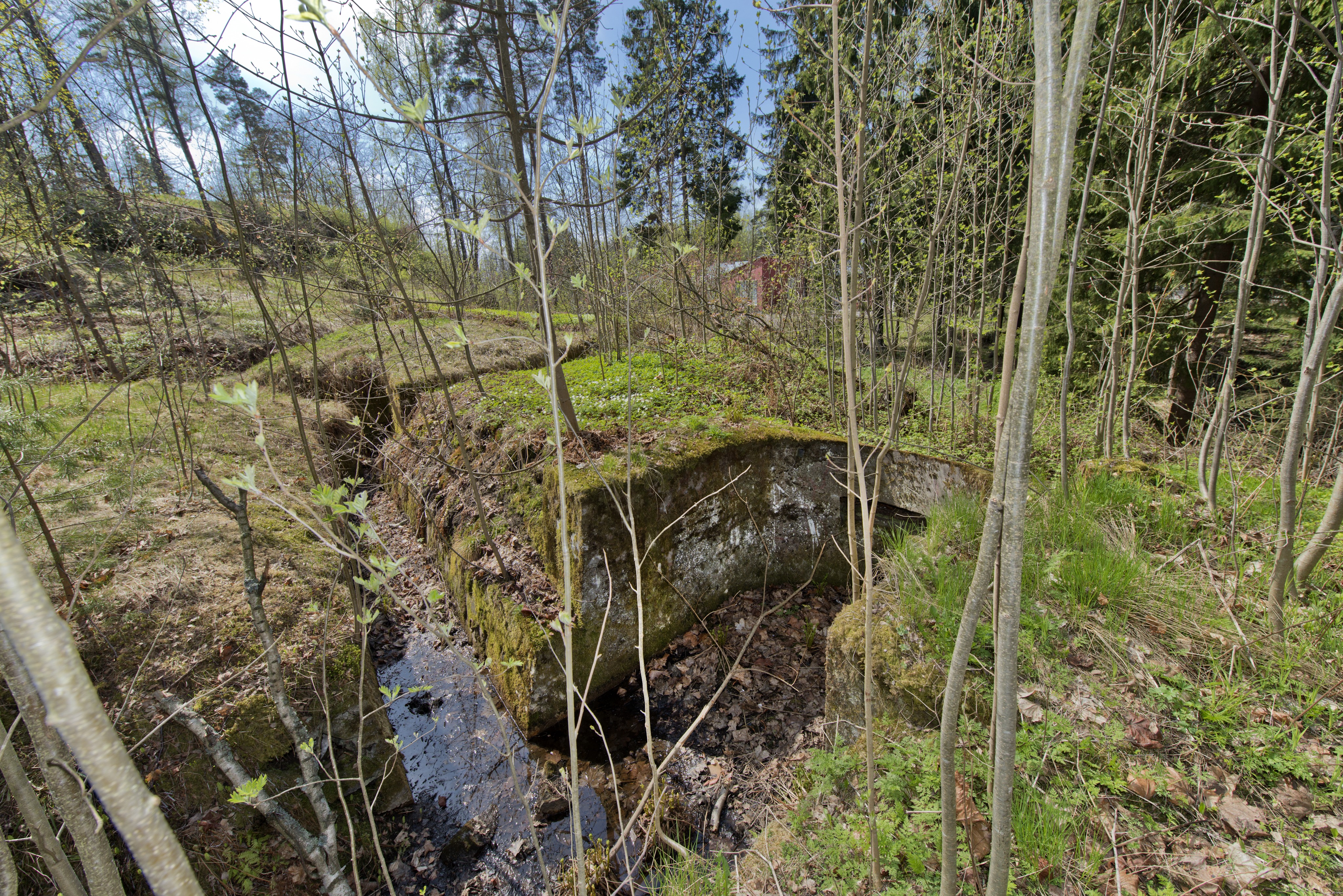 Haukilahti. Ensimmäisen maailmansodan aikainen maalinnoitus, puolustusasema XXXIV:12 Haukilahdessa, Espoossa. Kuvassa näkyy kallioon louhittua, betonilla tuettua taisteluhautaa sekä betoninen konekivääriasema. Taisteluhaudan rintasuojan alaosassa on torjuntasuunnan puolella ampumakoroke. Korokkeen päälle on valunut reunalta maata, joka on osittain peittänyt rakenteen muodon. Haudan pohjalle on kertynyt vettä. Konekivääriasema on suorakaide muodoltaan, mutta etuseinä on kaareva. Aseman etuseinässä näkyy konekiväärin jalkoja varten tehty syvennys. Asemassa on saattanut olla hirsikatto, sillä siinä ei näy merkkejä tai jäänteitä betonikatosta.