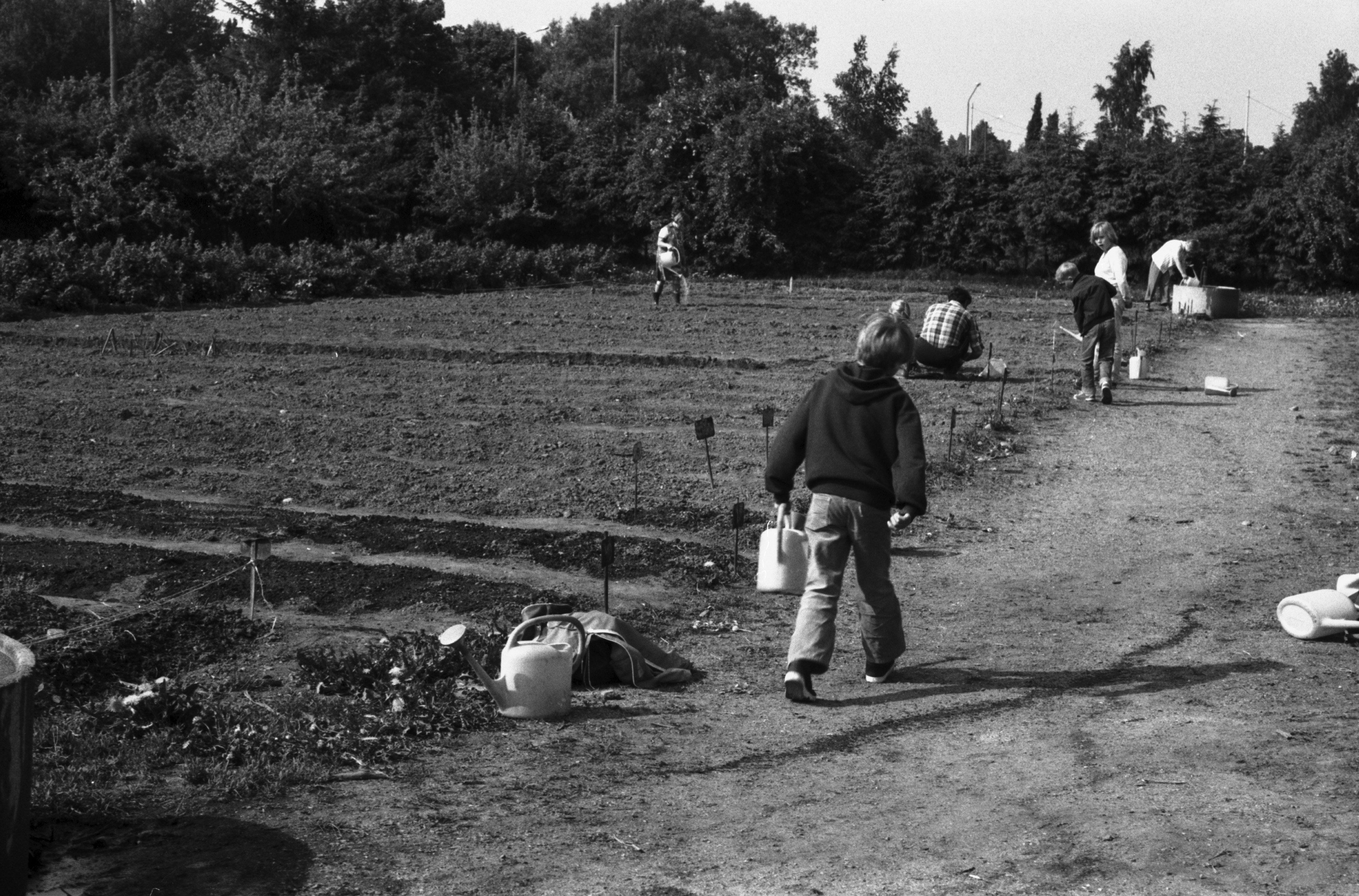 Vähänkyröntie 2-4. Kaksi poikaa (Tuomas Heikkilä ja Aapo Rista) hakemassa kastelukannuilla vettä kaivosta kastellakseen maata istutustöiden aikaan Kumpulan koulukasvitarhassa.