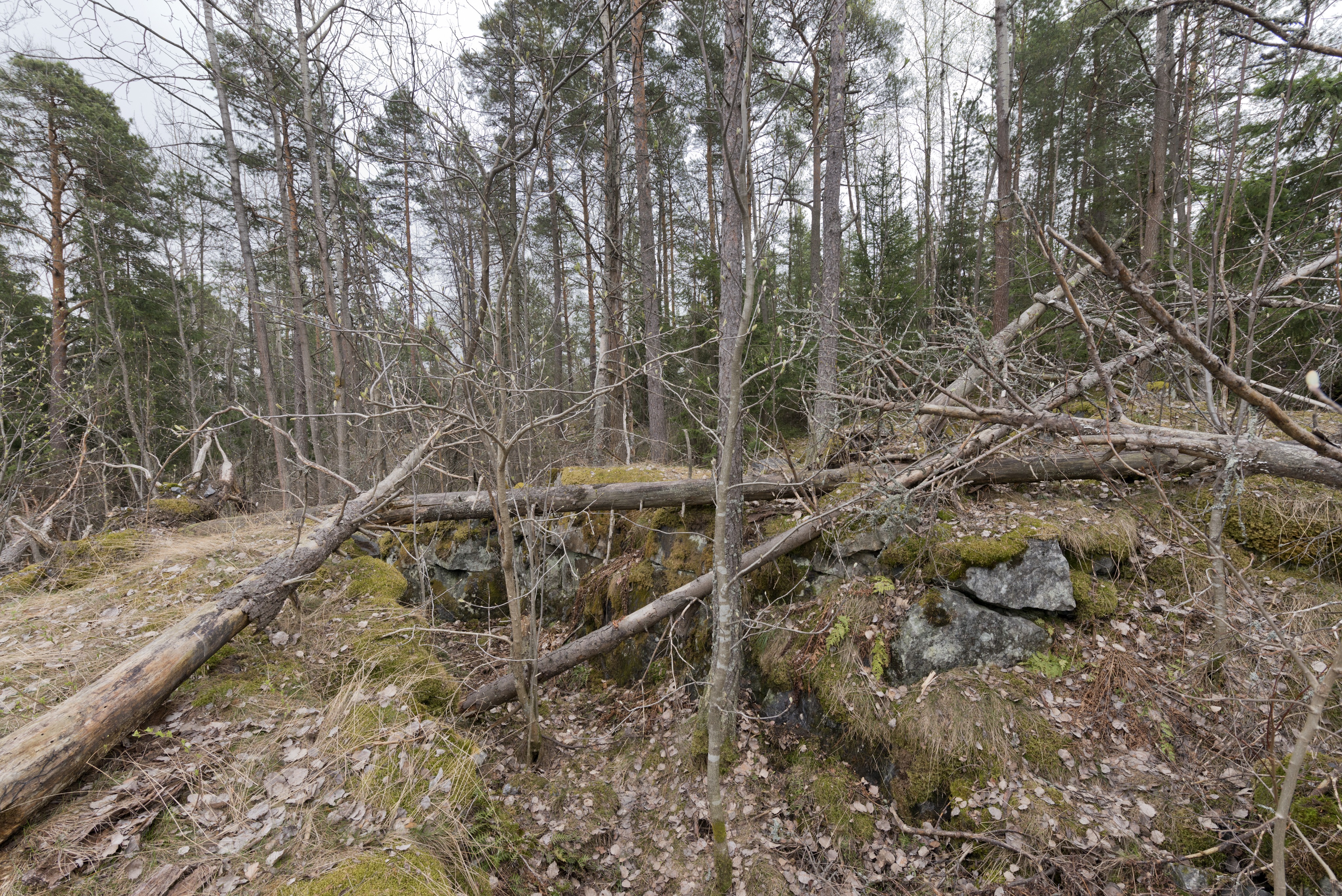 Ruukinranta