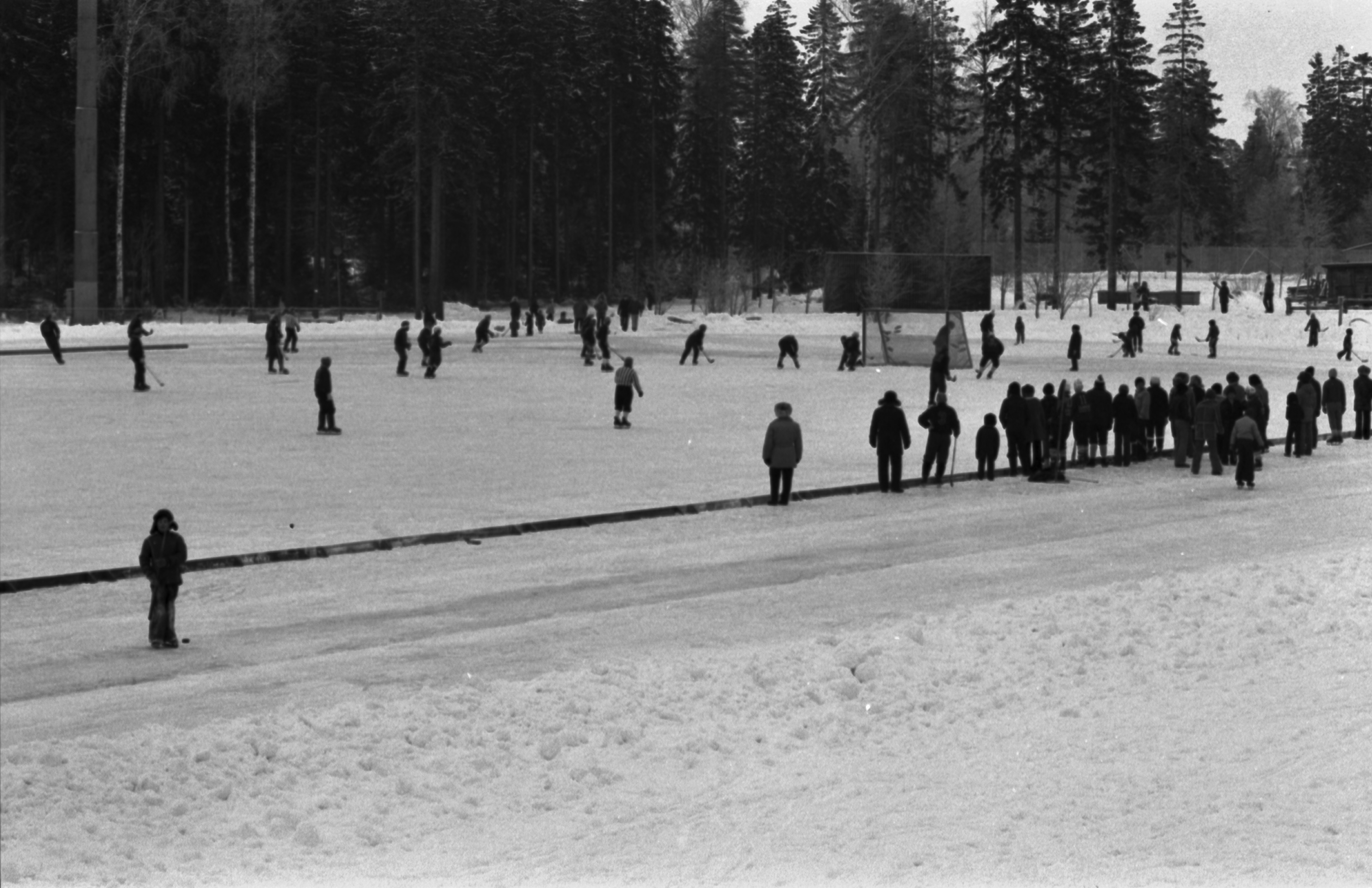 Pirkkolan urheilupuisto. Ihmisiä seuraamassa jääpallopeliä luistinradan laidalla Pirkkolan urheilupuistossa.