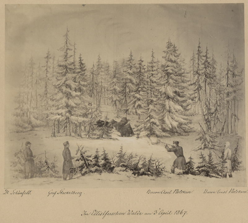 Karujaht Elistvere metsas