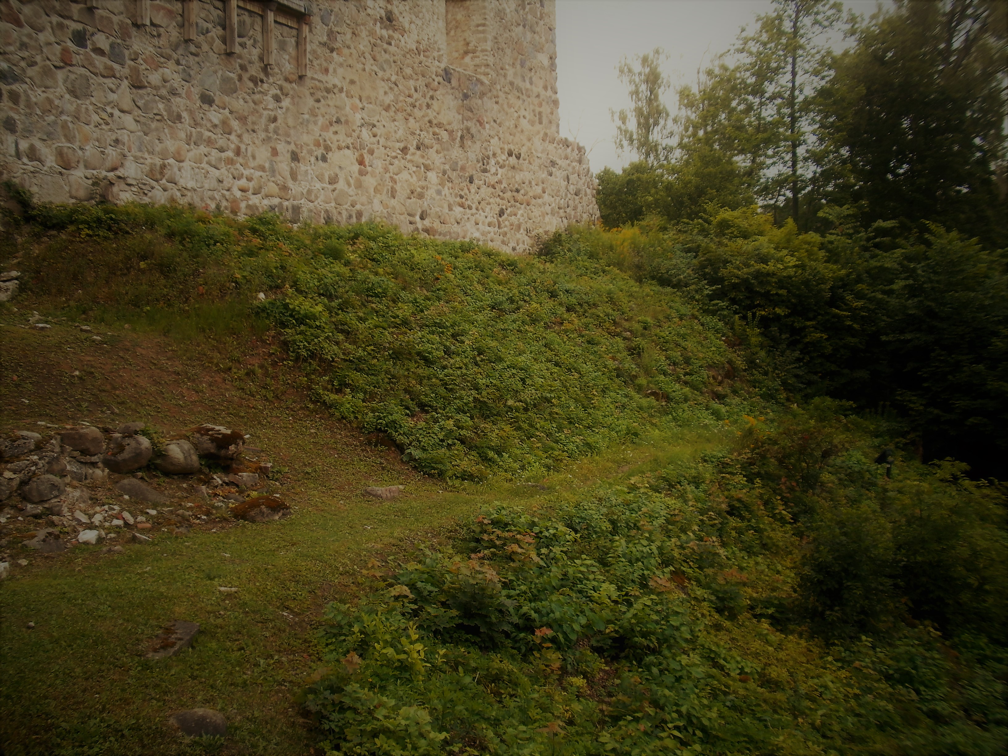 Sigulda ordulinnus. II eeslinnus. 13 - Vaade eeslinnuseid ühendavalt sillalt pealinnuse konvendihoone müürile. Esiplaanil valli küljel on näha jälgi pealinnuse ees jooksnud zwingerimüürist.