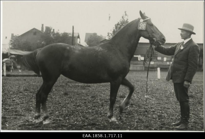 Hobune nr 26 koos hooldajaga põllumajanduslikul näitusel