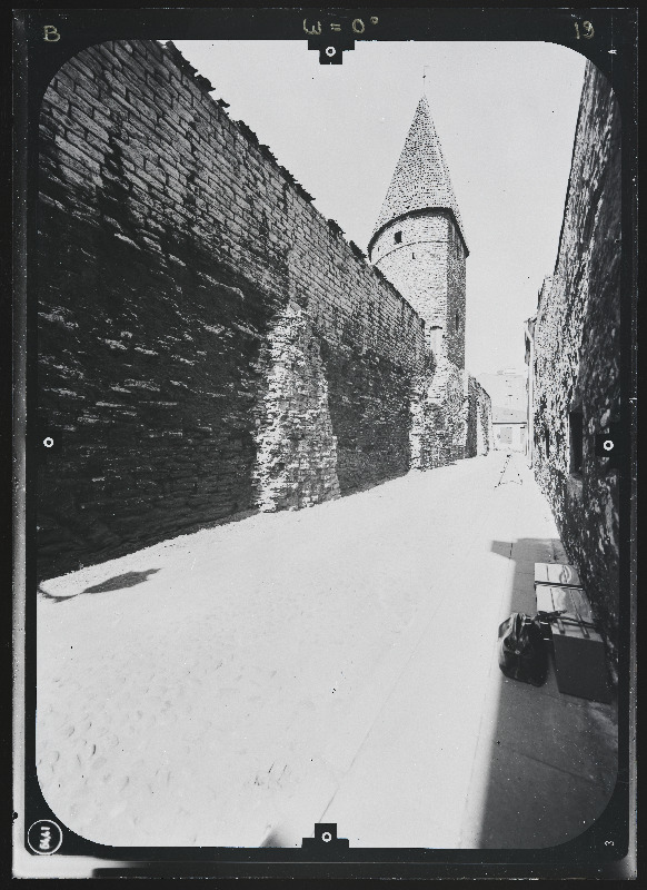 Tallinn, Suurtüki tn (endine Käsperti tänav) ja Hobuveski vaheline linnamüüri lõik. All-linna kindlustused - linnamüür, tornid, väravaehitised, muldkindlustused, vallikraav. Stereofotogramm-meetriline mõõdistamine.
