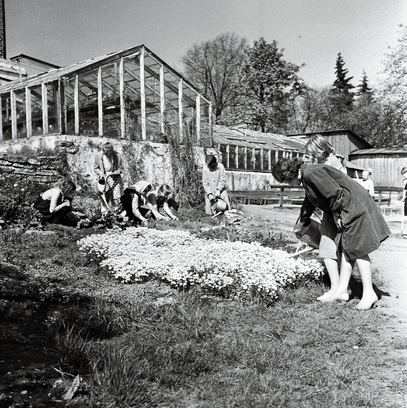 Noorte Naturalistide Jaama liikmed aias praktikal.