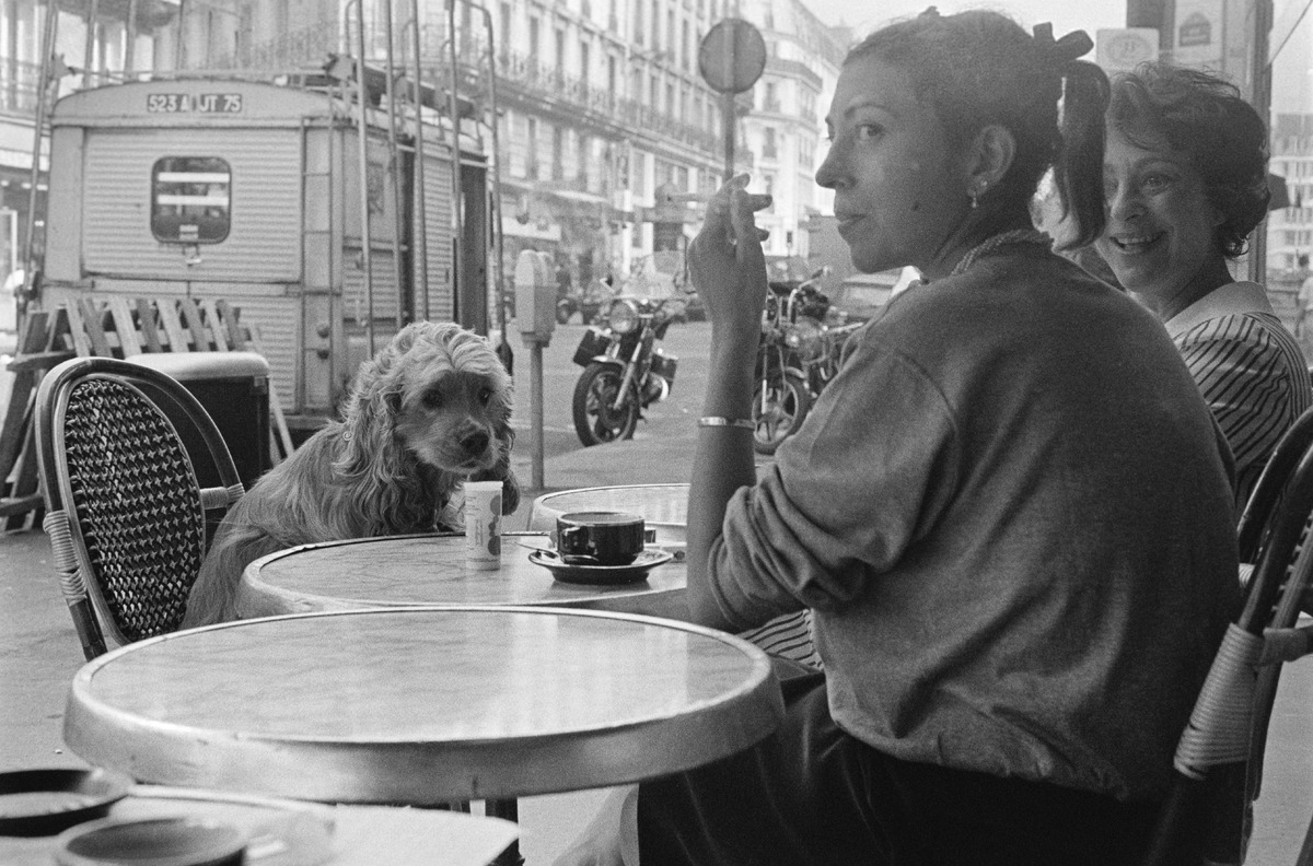 People and dogs in Paris, France, in autumn 1982.; Ihmisiä ja koiria Pariisissa syksyllä 1982.