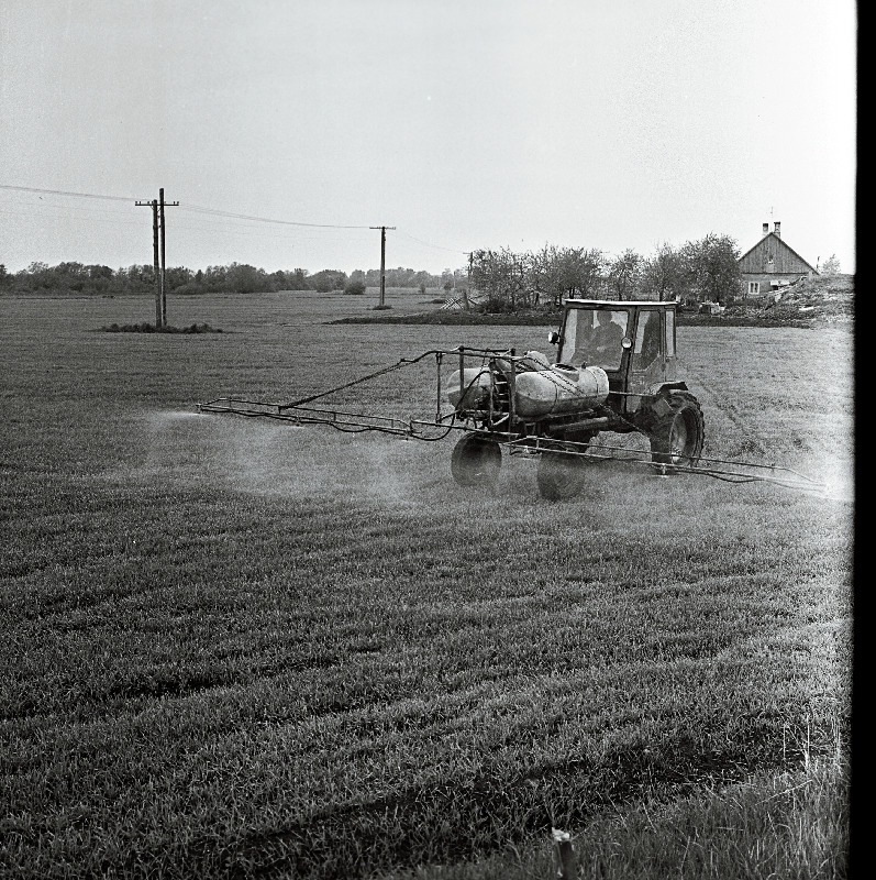 Keemiline umbrohutõrje Kohtla-Järve sovhoosi teraviljapõllul.