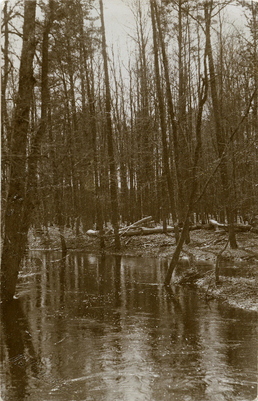 Suuremõisa park.