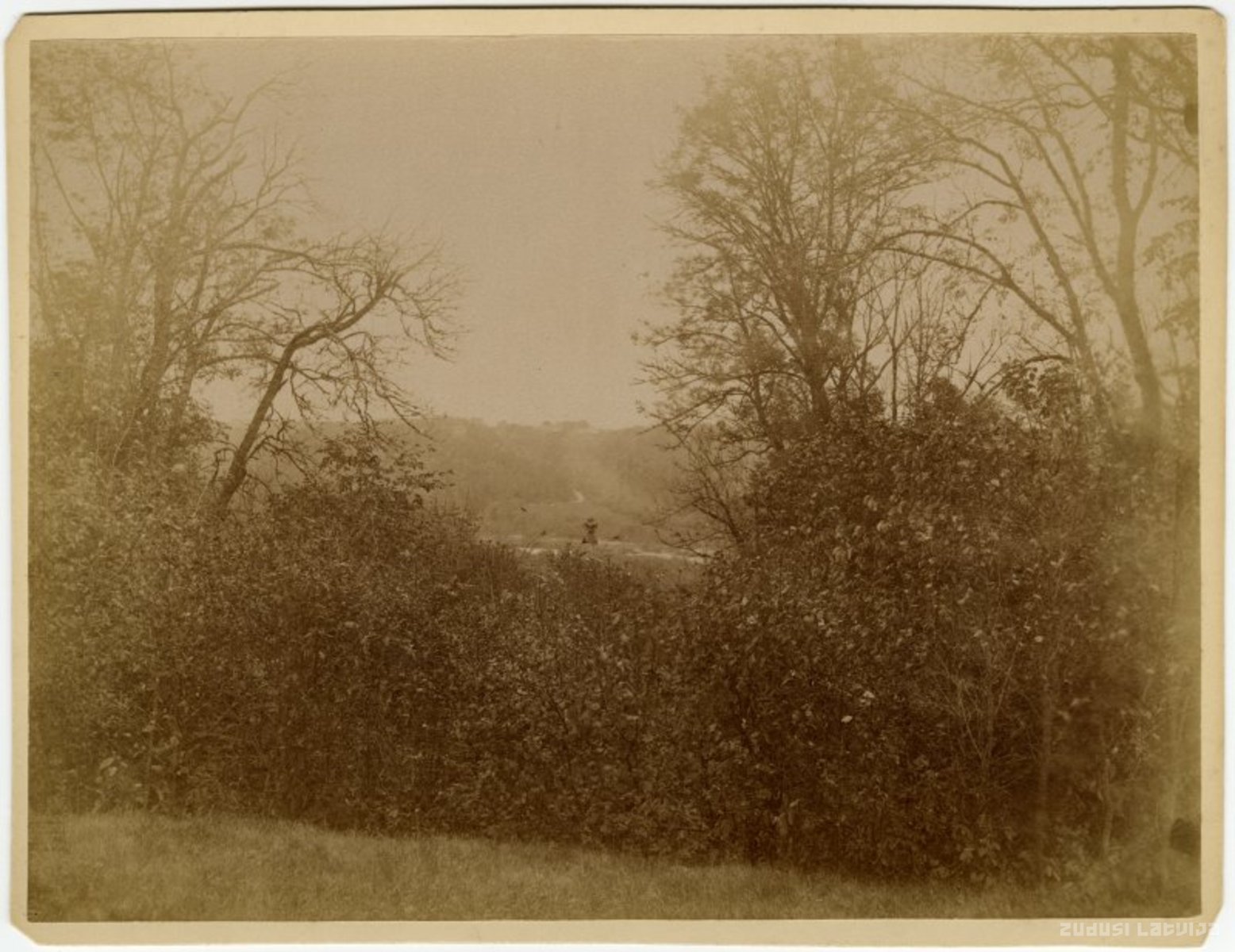 Fotoattēls no Reinholda Gulekes (1834-1927) krājuma