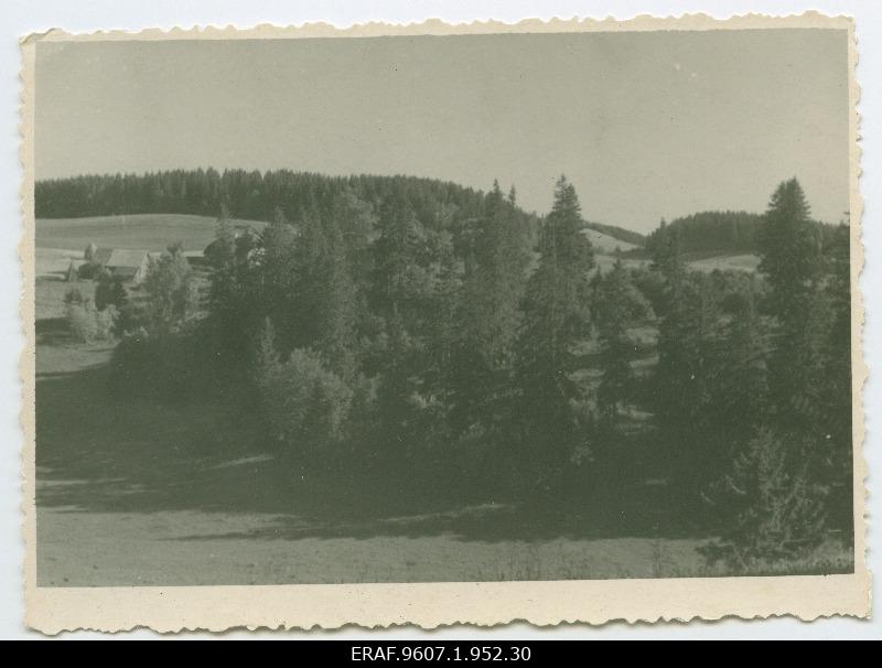 Nikolai Karotamme viibimine Tartus.