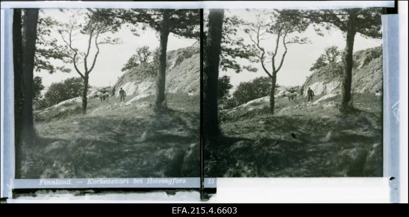 Kõrgesaare maastiku vaade.