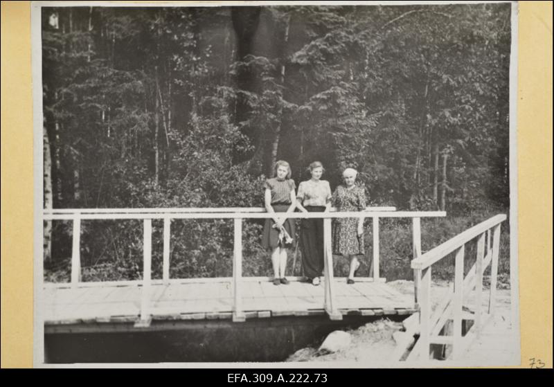 Sild Tootsi asulas Pärnu rajoonis.