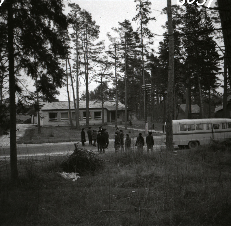 Vaade Laulasmaa sidejaoskonnale.