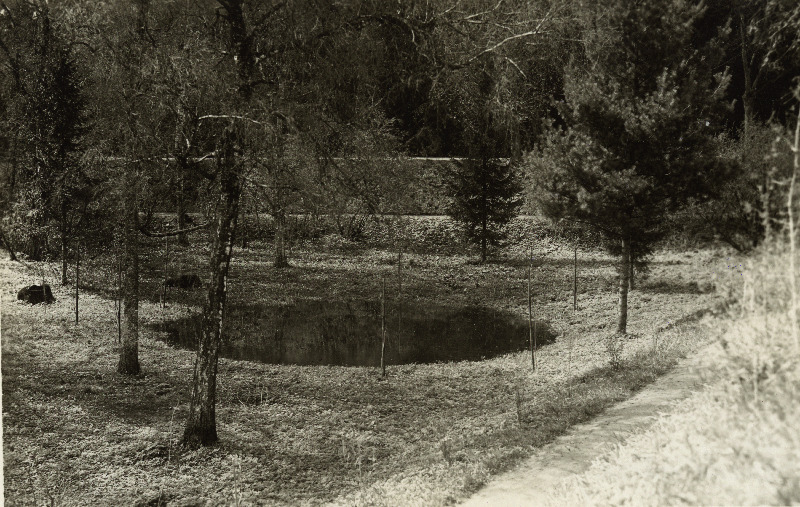 Raadi järve lehter Raadi mõisa pargis.