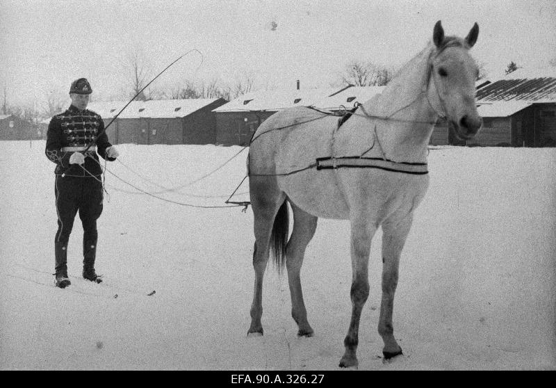 Ratsarügemendi allohvitser enne skijöringi sõitu.